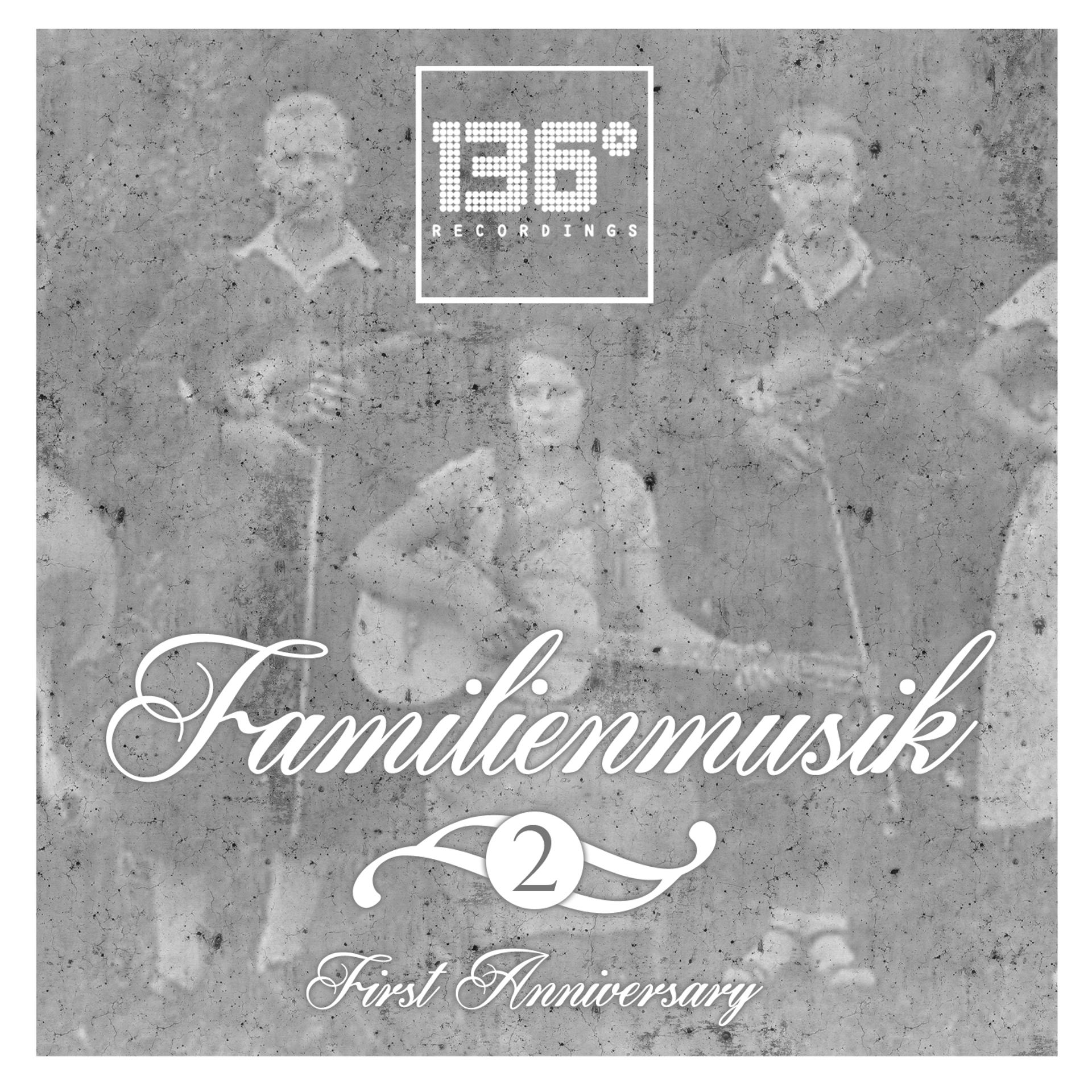 Постер альбома Familienmusik, Vol. 2