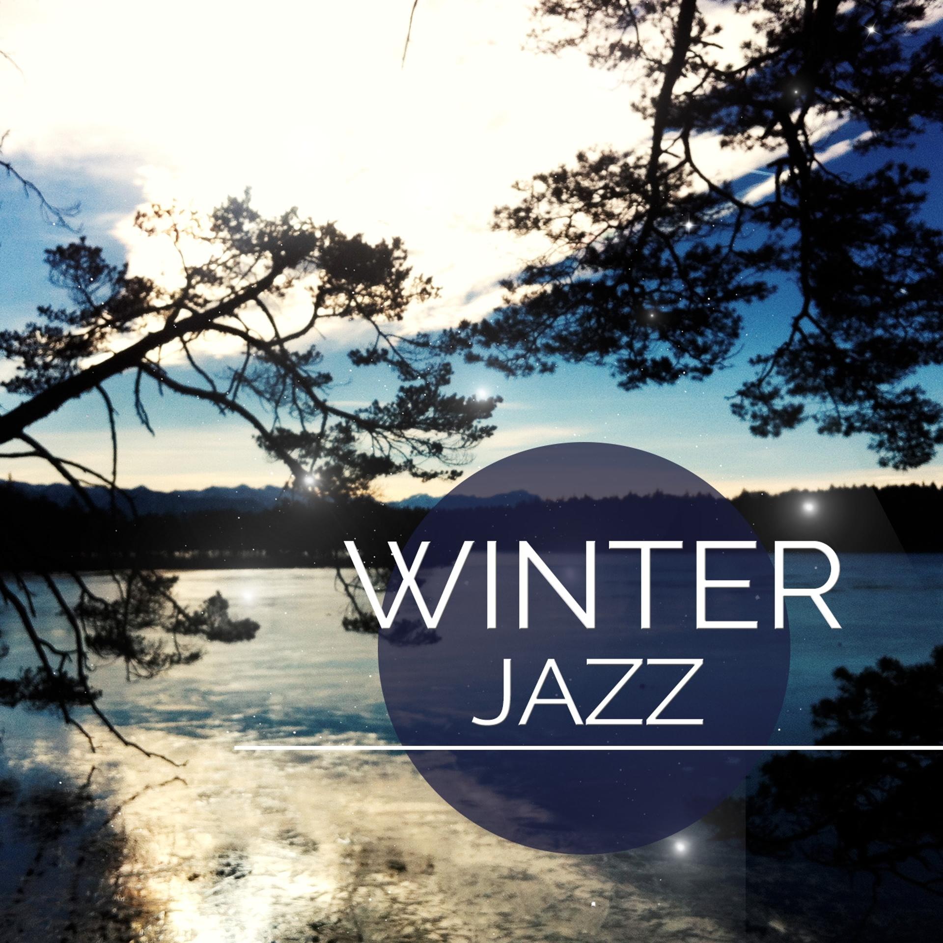 Постер альбома Winter Jazz, Vol. 1