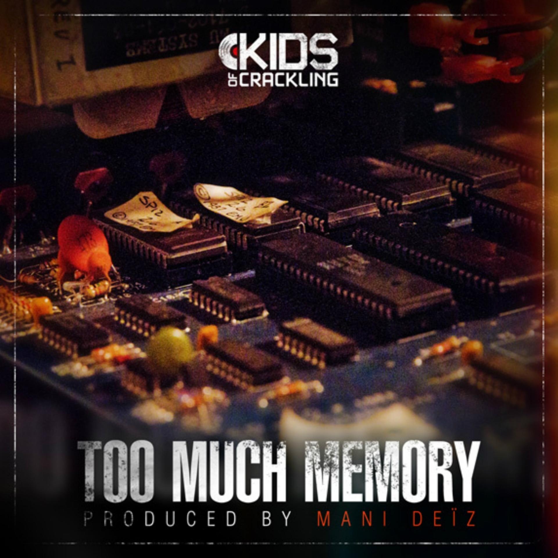 Постер альбома Too Much Memory