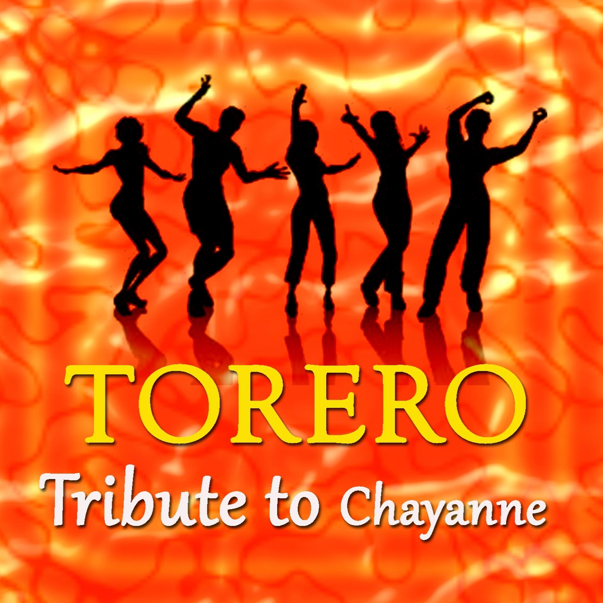 Постер альбома Torero: Tribute to Chayanne