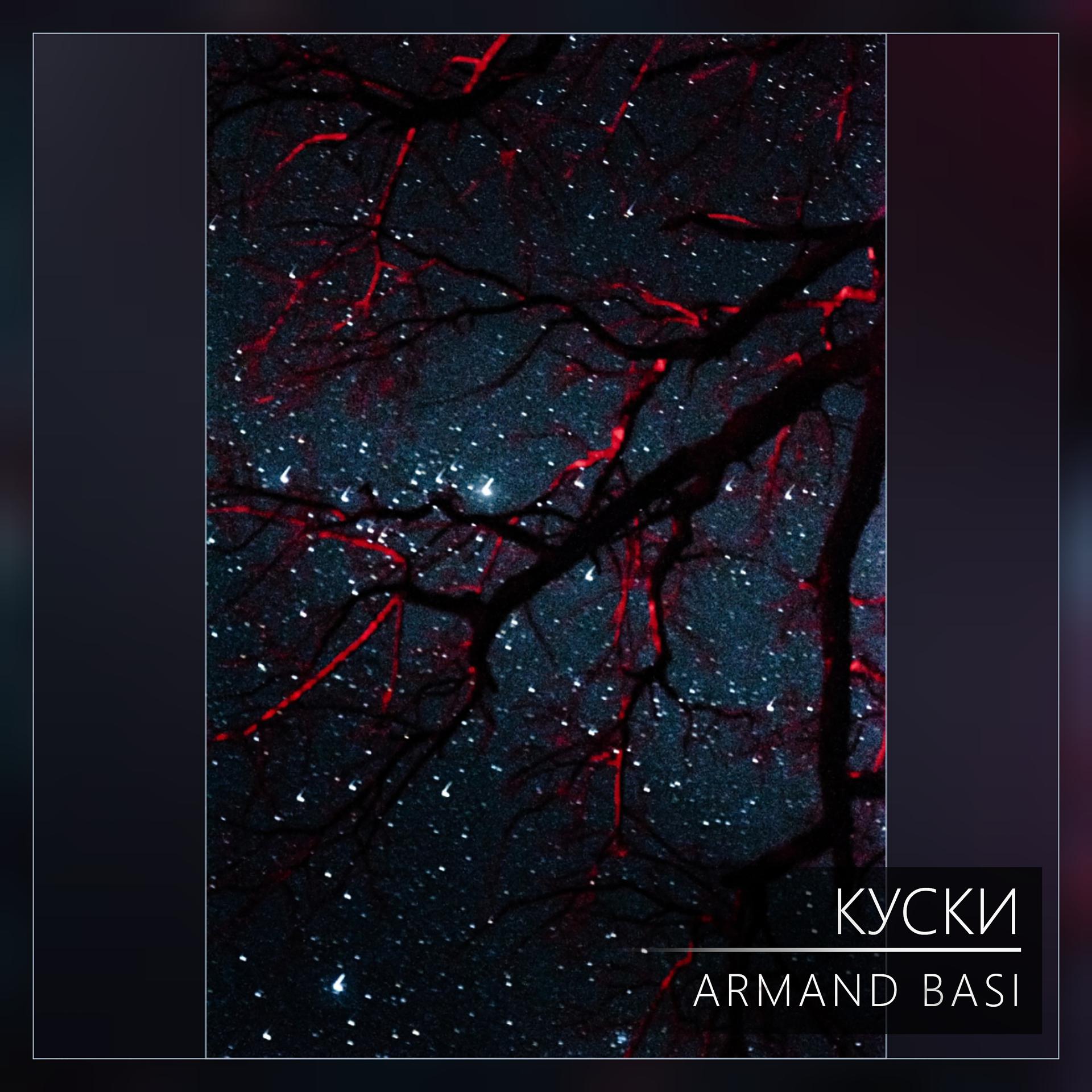 Постер альбома Armand Basi