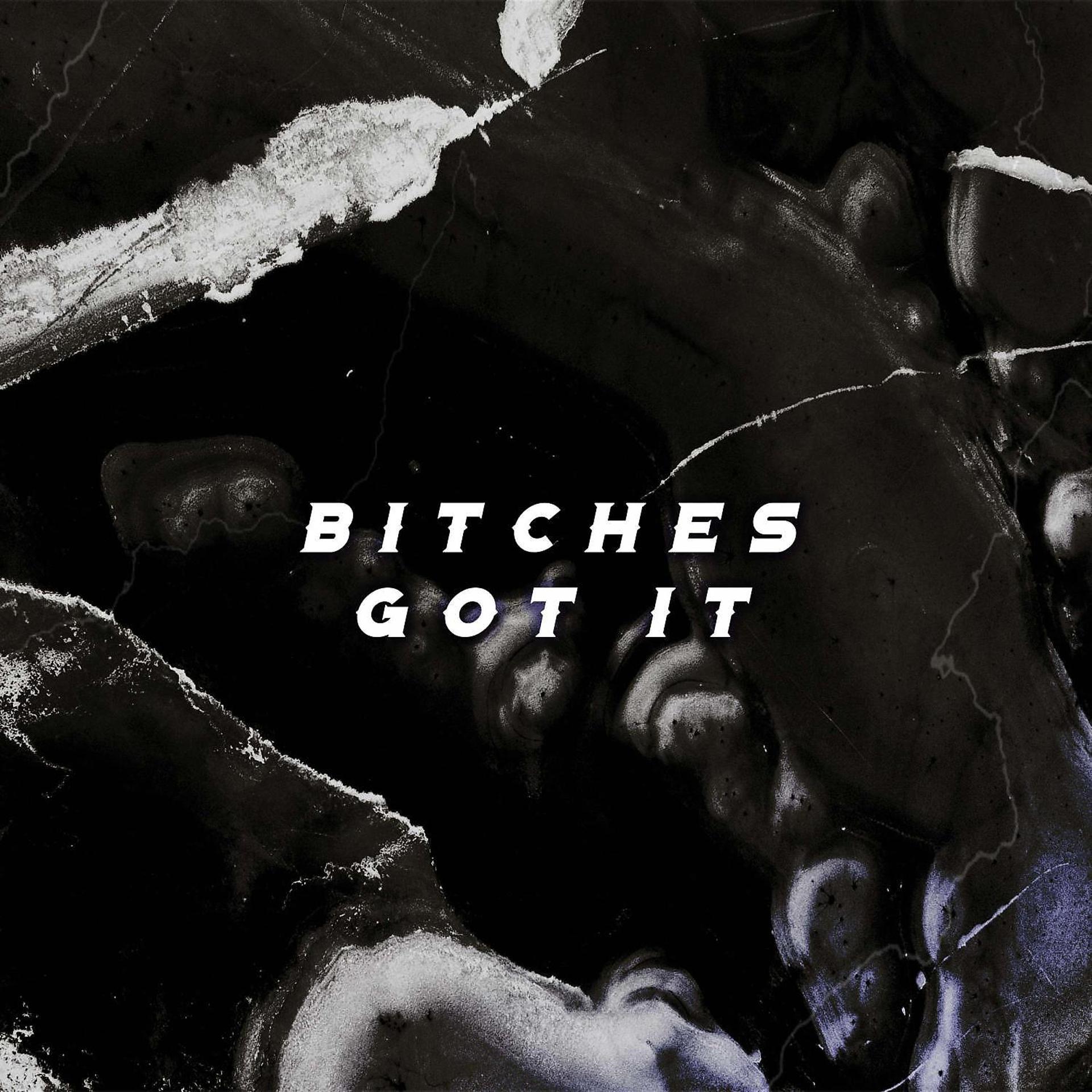 Постер альбома Bitches Got It