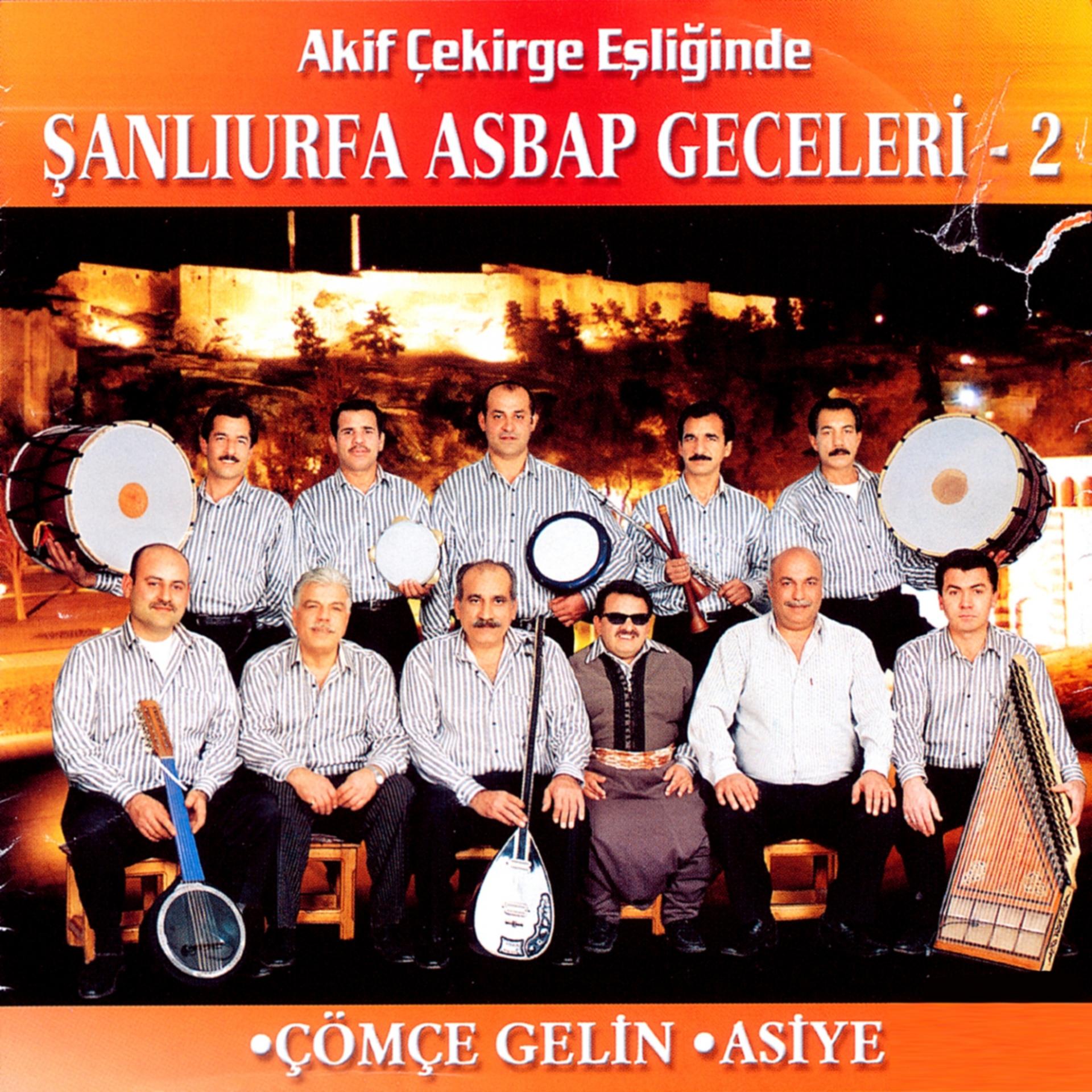 Постер альбома Akif Çekirge Eşliğinde Asbap Geceleri ( Vol.2 )