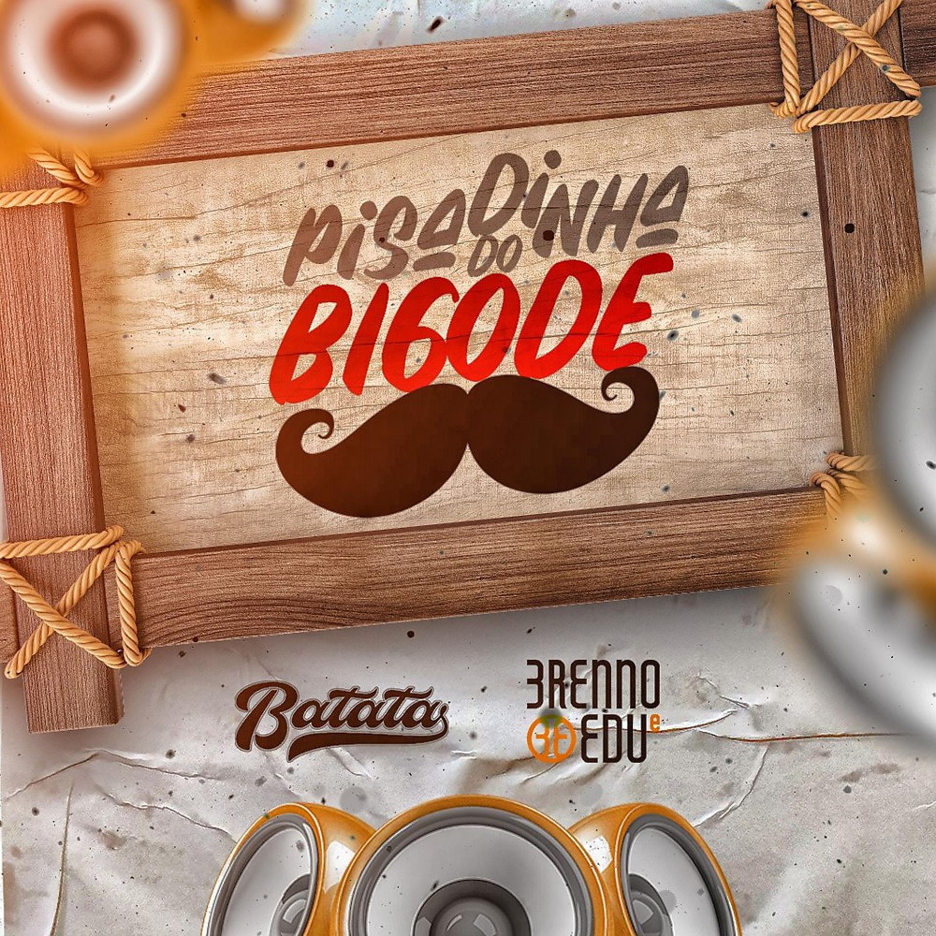 Постер альбома Pisadinha do Bigode