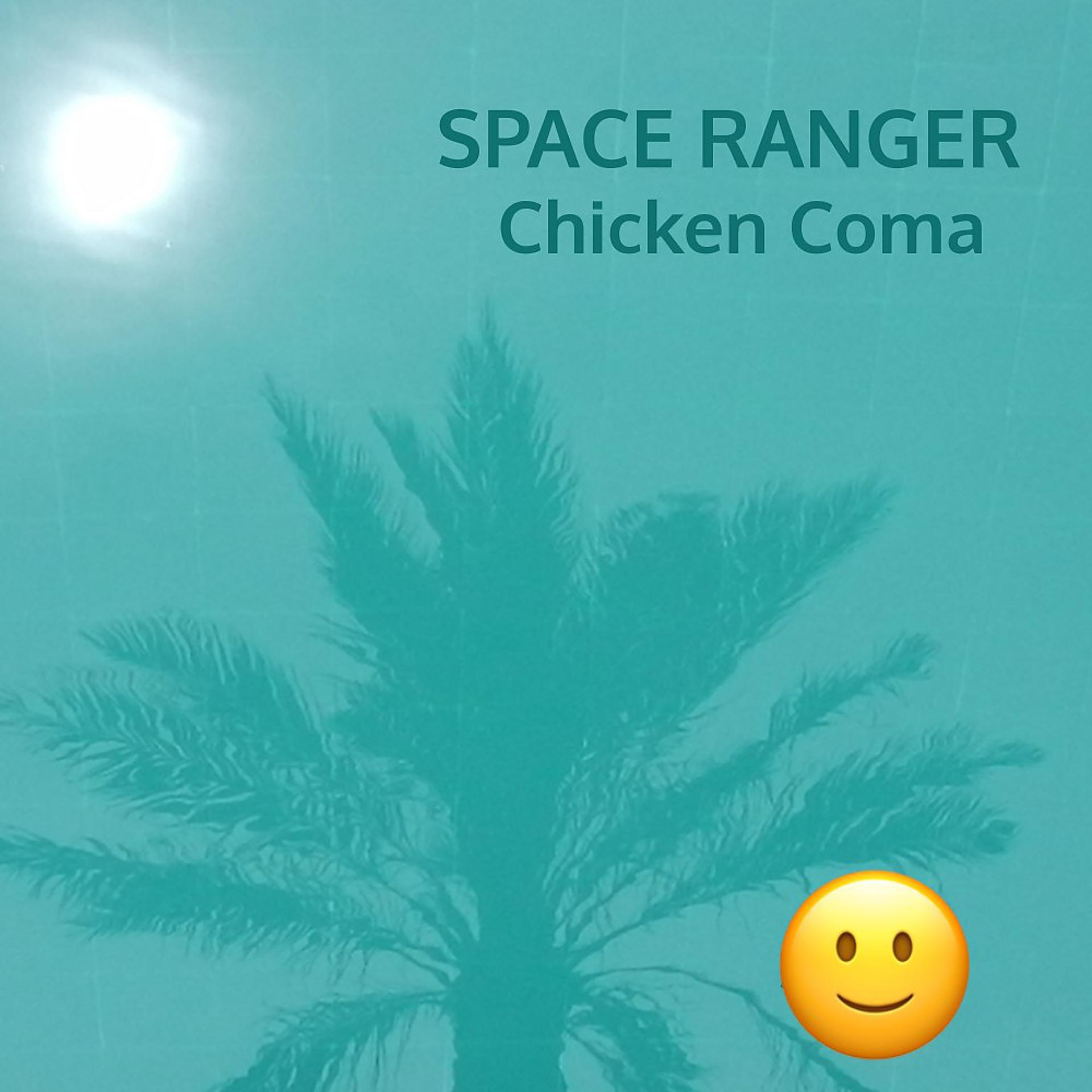 Постер альбома Chicken Coma