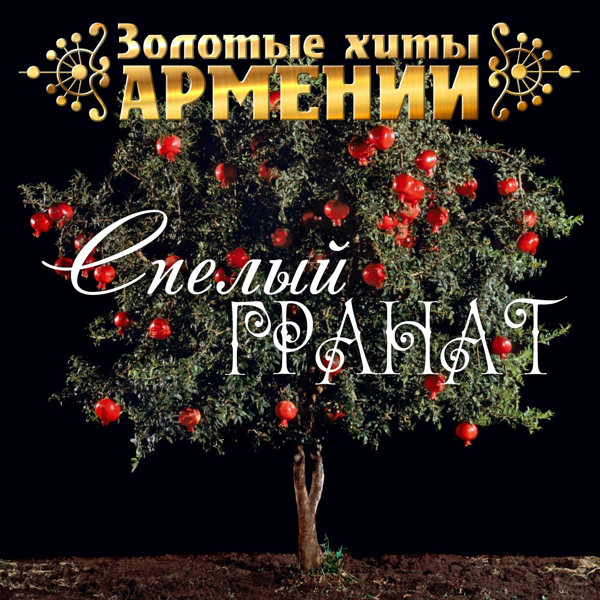 Постер альбома Золотые Хиты Армении. Спелый гранат