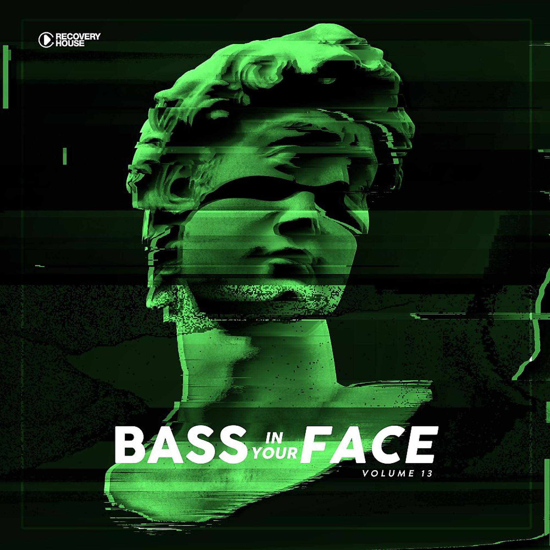 Постер альбома Bass in Your Face, Vol. 13