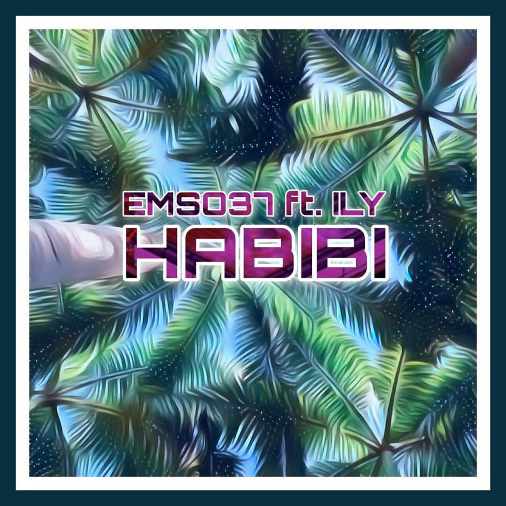 Постер альбома Habibi (Remix)