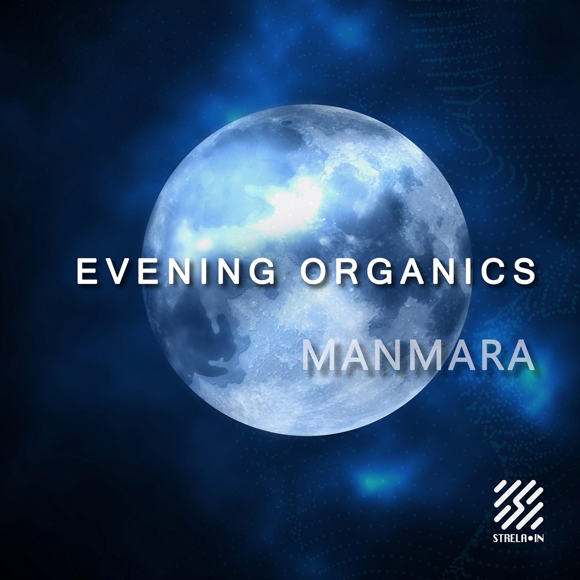 Постер к треку Manmara - Night puzzles