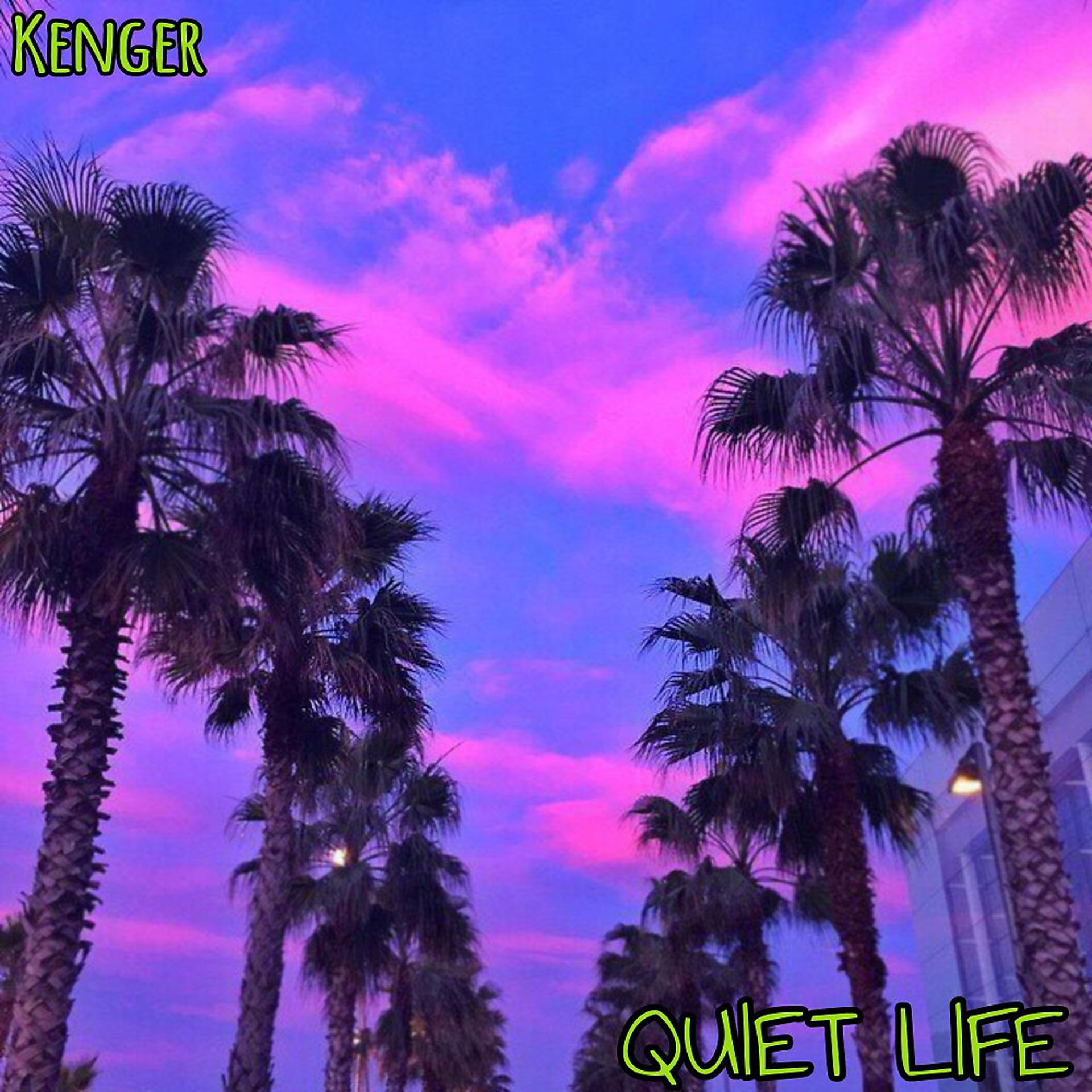 Постер альбома Quiet Life