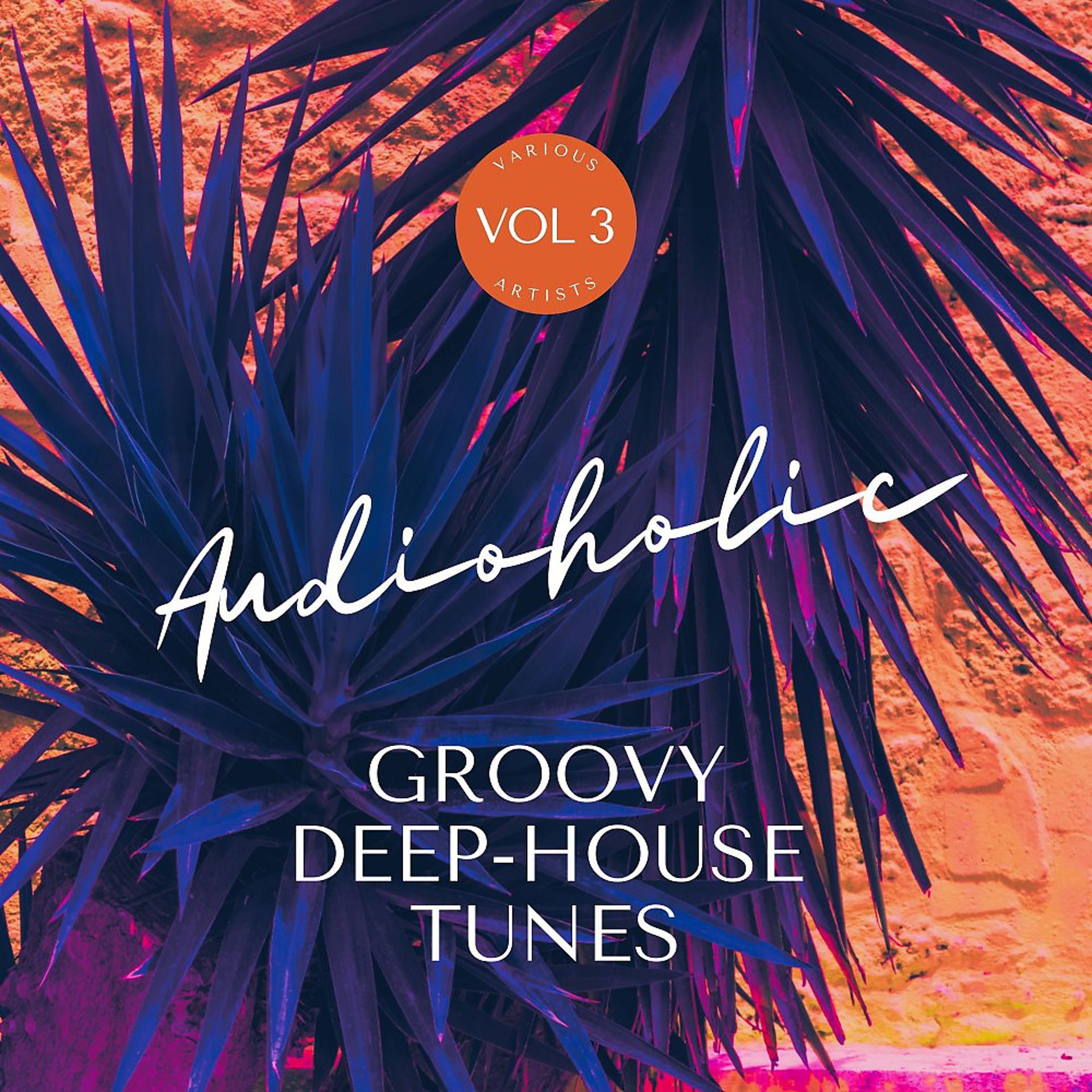 Постер альбома Audioholic (Groovy Deep-House Tunes), Vol. 3