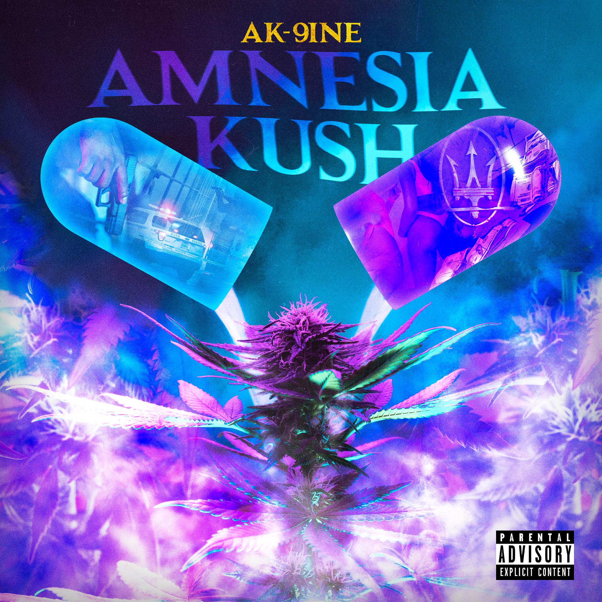 Постер альбома Amnesia Kush