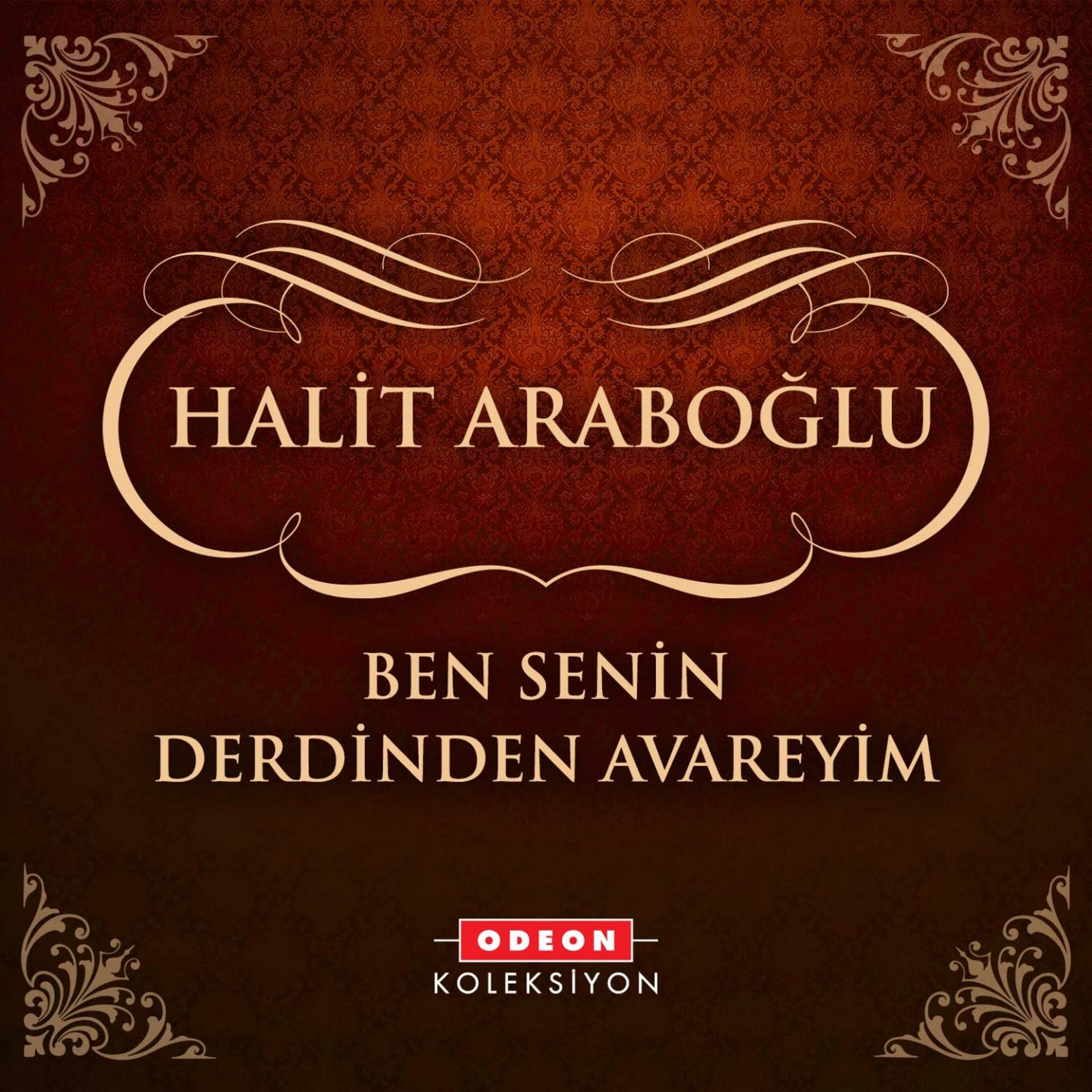 Постер альбома Ben Senin Derdinden Avareyim