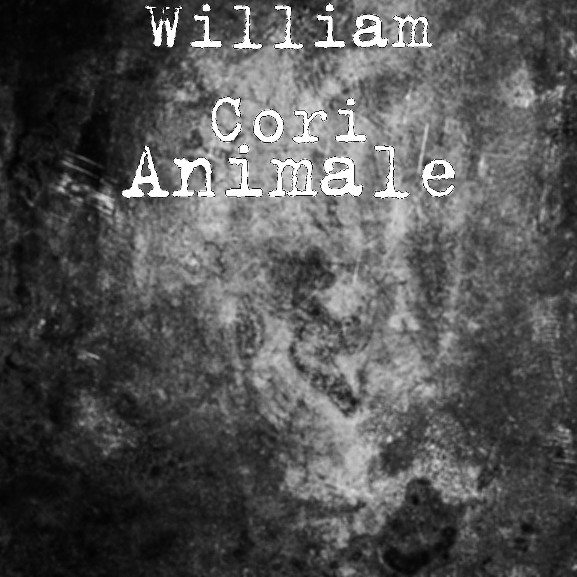 Постер альбома Animale