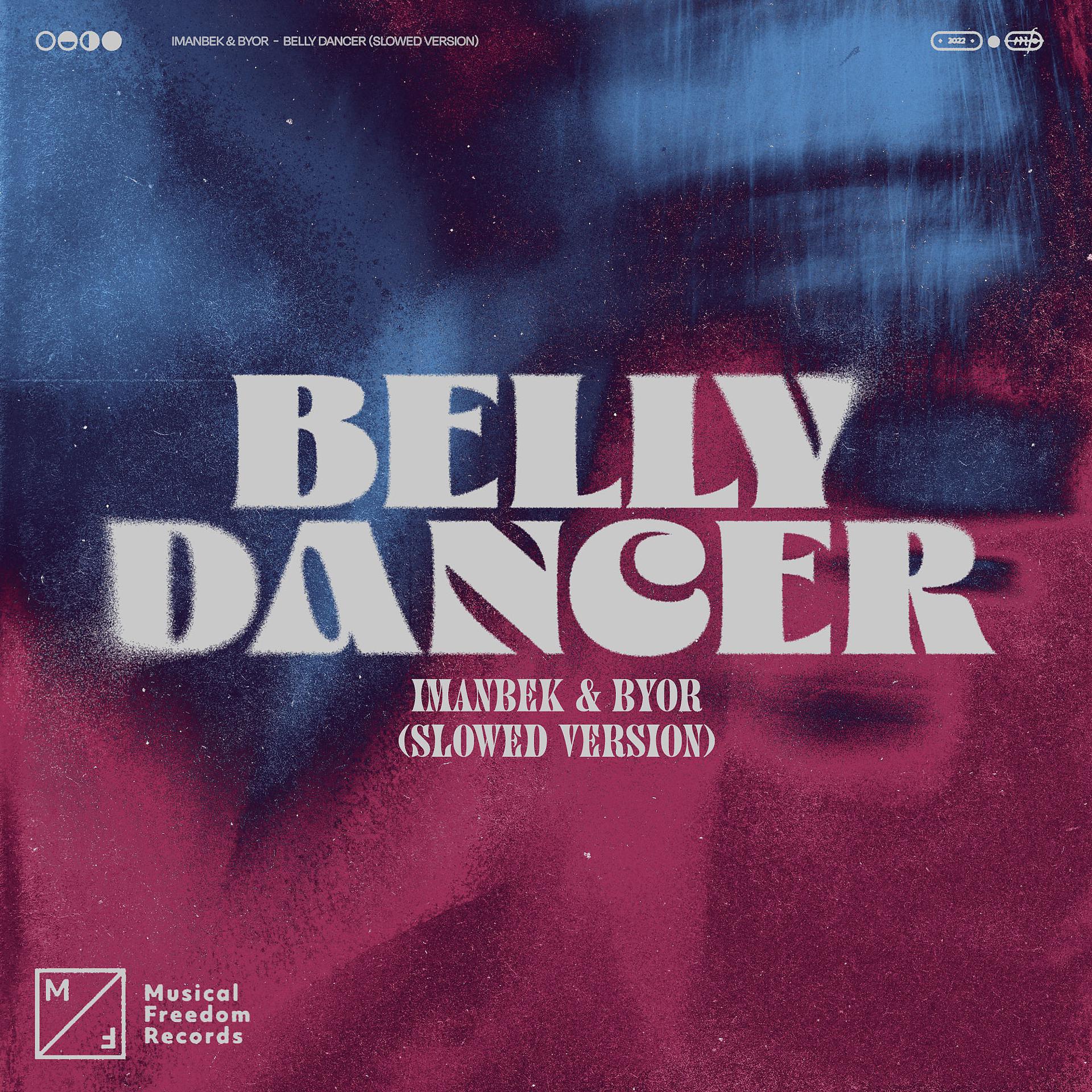 Постер альбома Belly Dancer (Slowed Version)