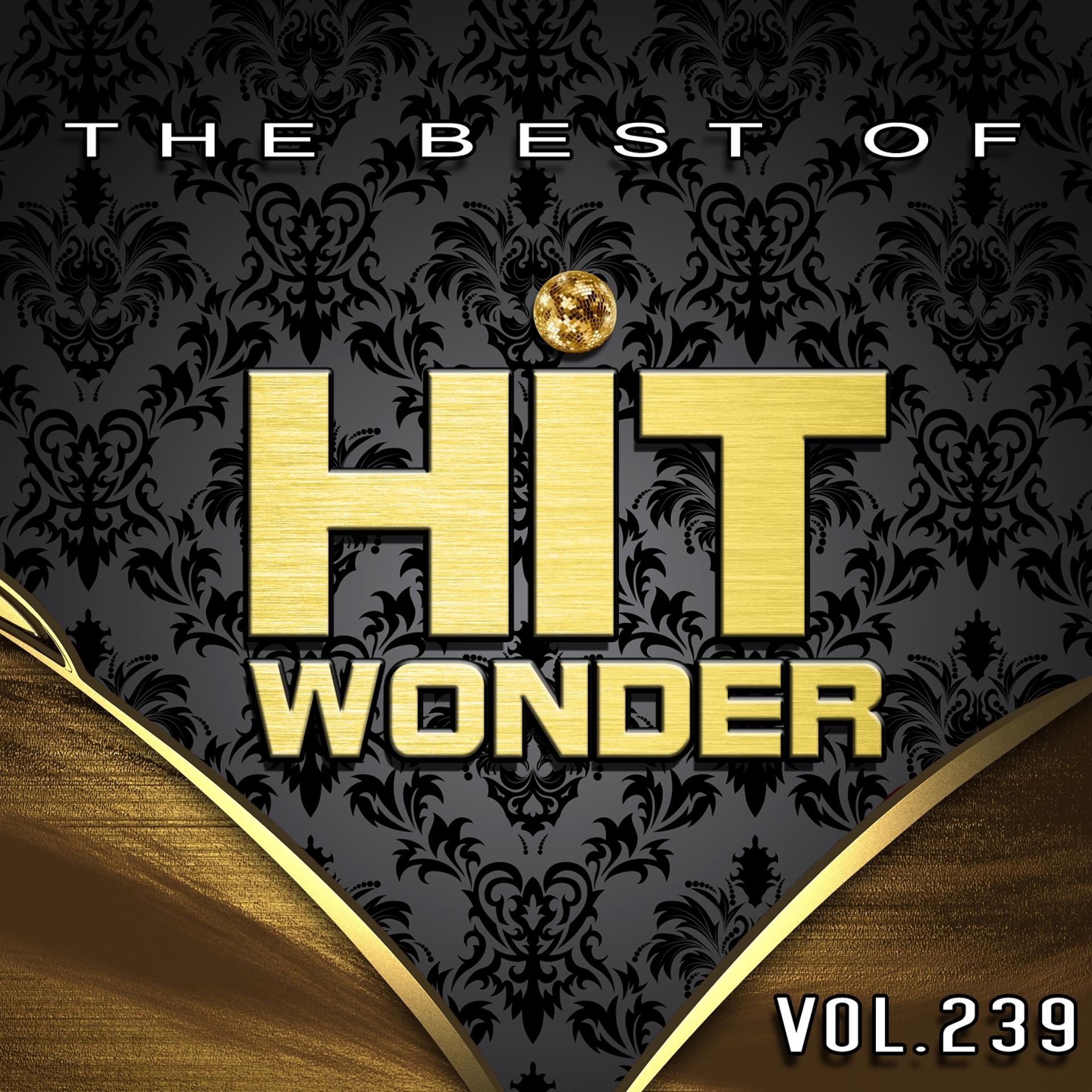 Постер альбома Hit Wonder: The Best of, Vol. 239