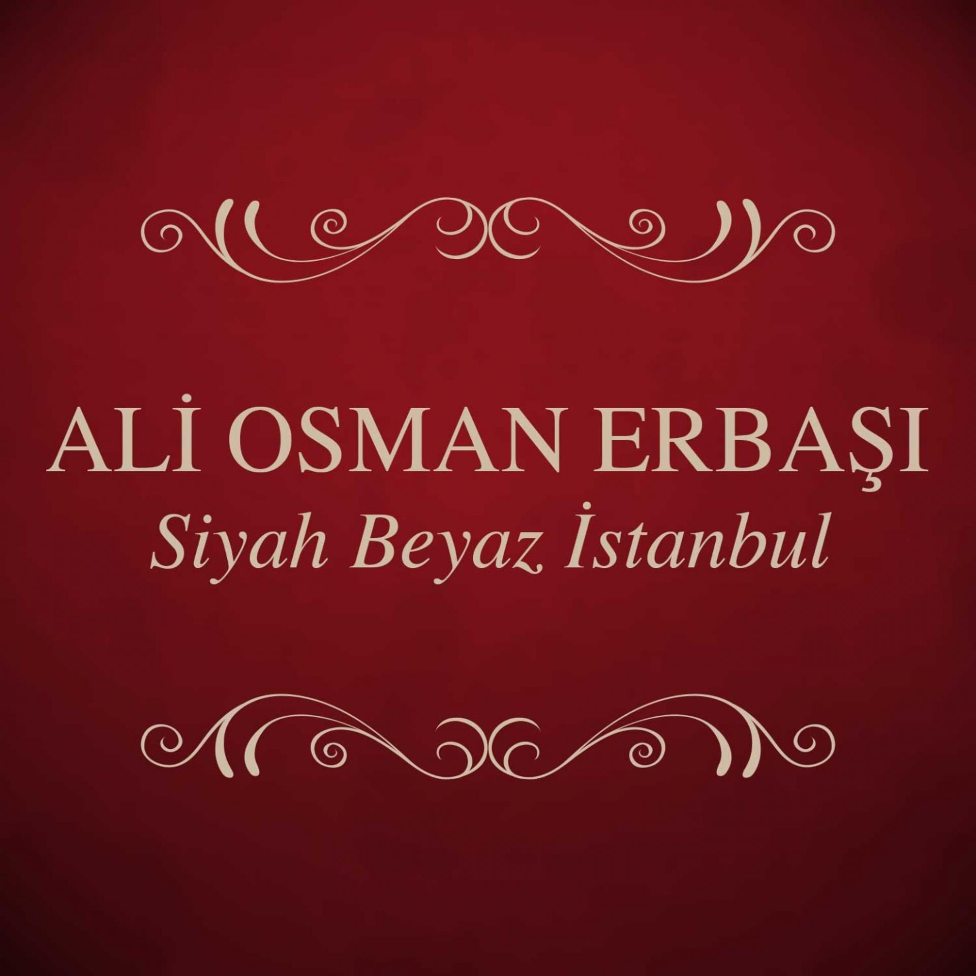 Постер альбома Siyah Beyaz İstanbul