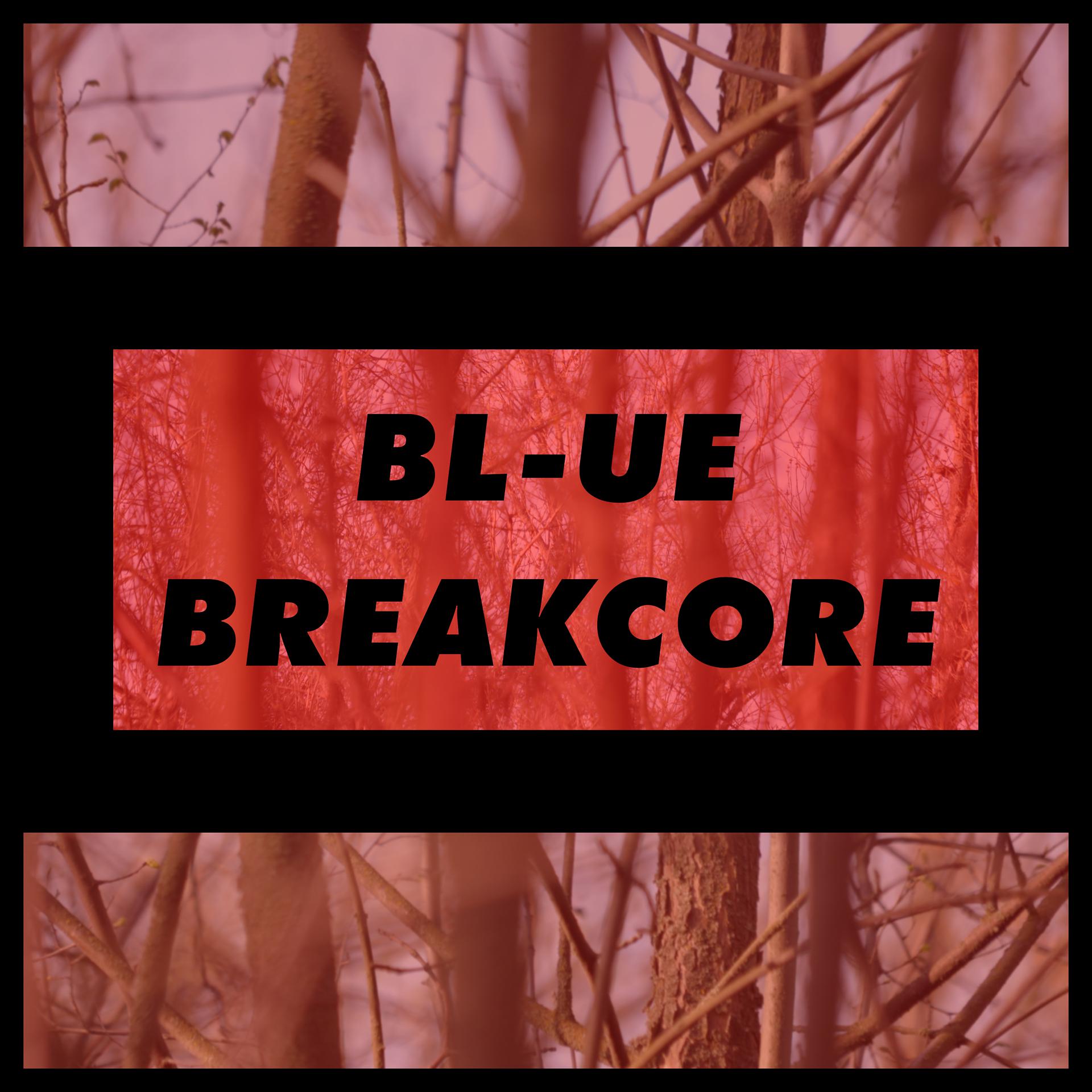 Постер альбома Breakcore