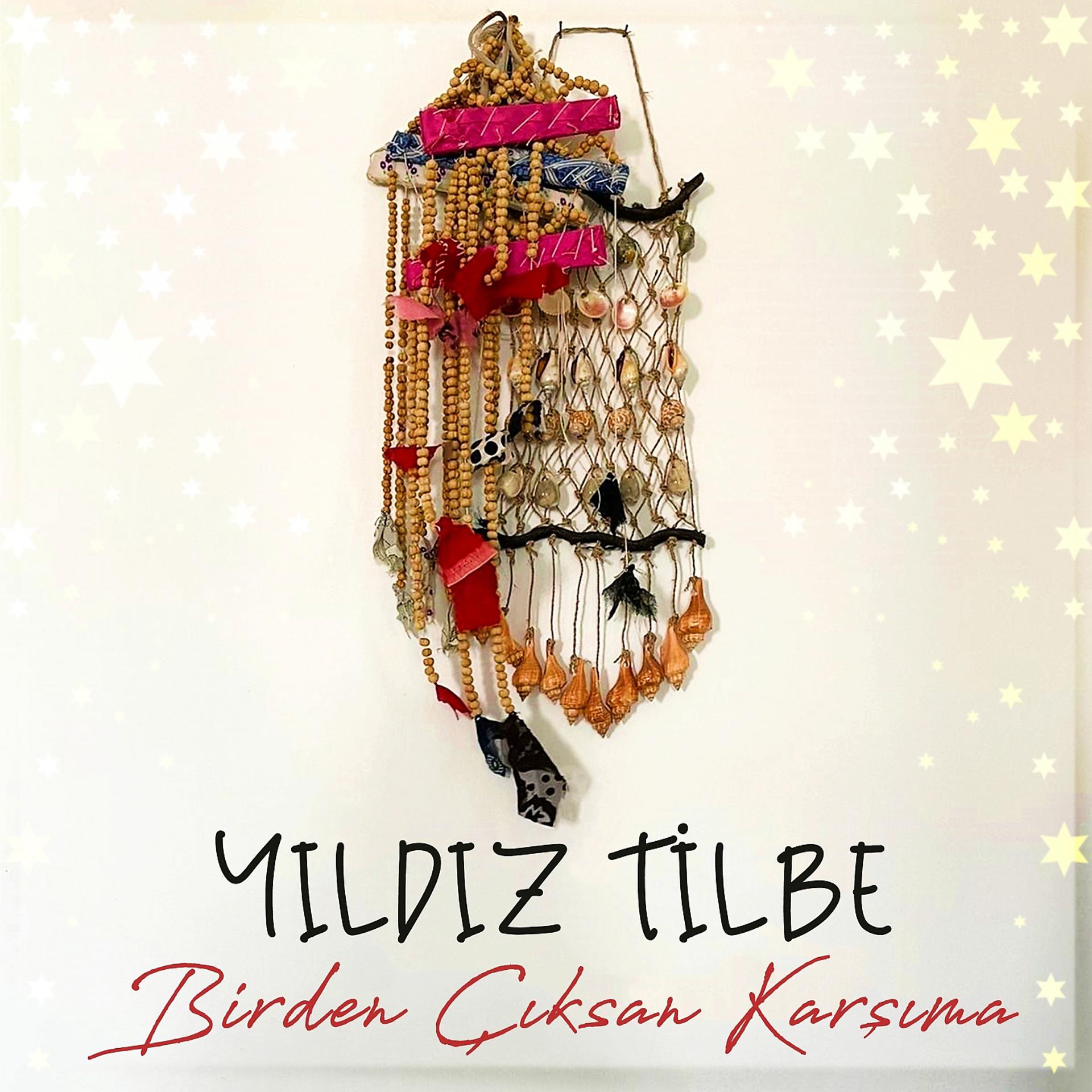 Постер альбома Birden Çıksan Karşıma