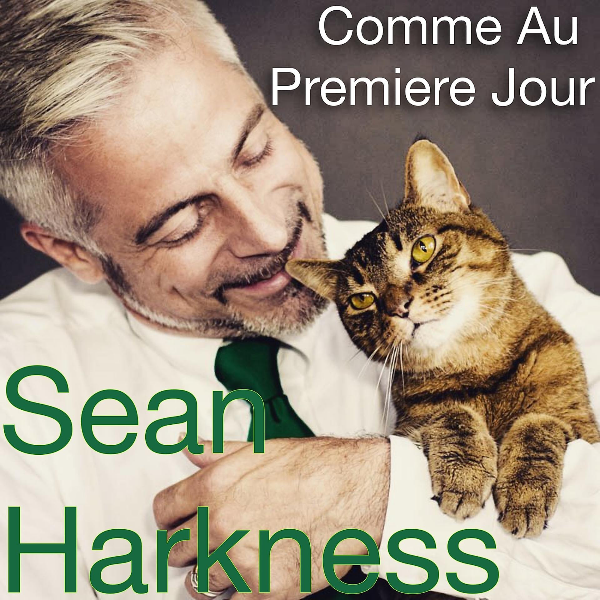 Постер альбома Comme Au Premier Jour