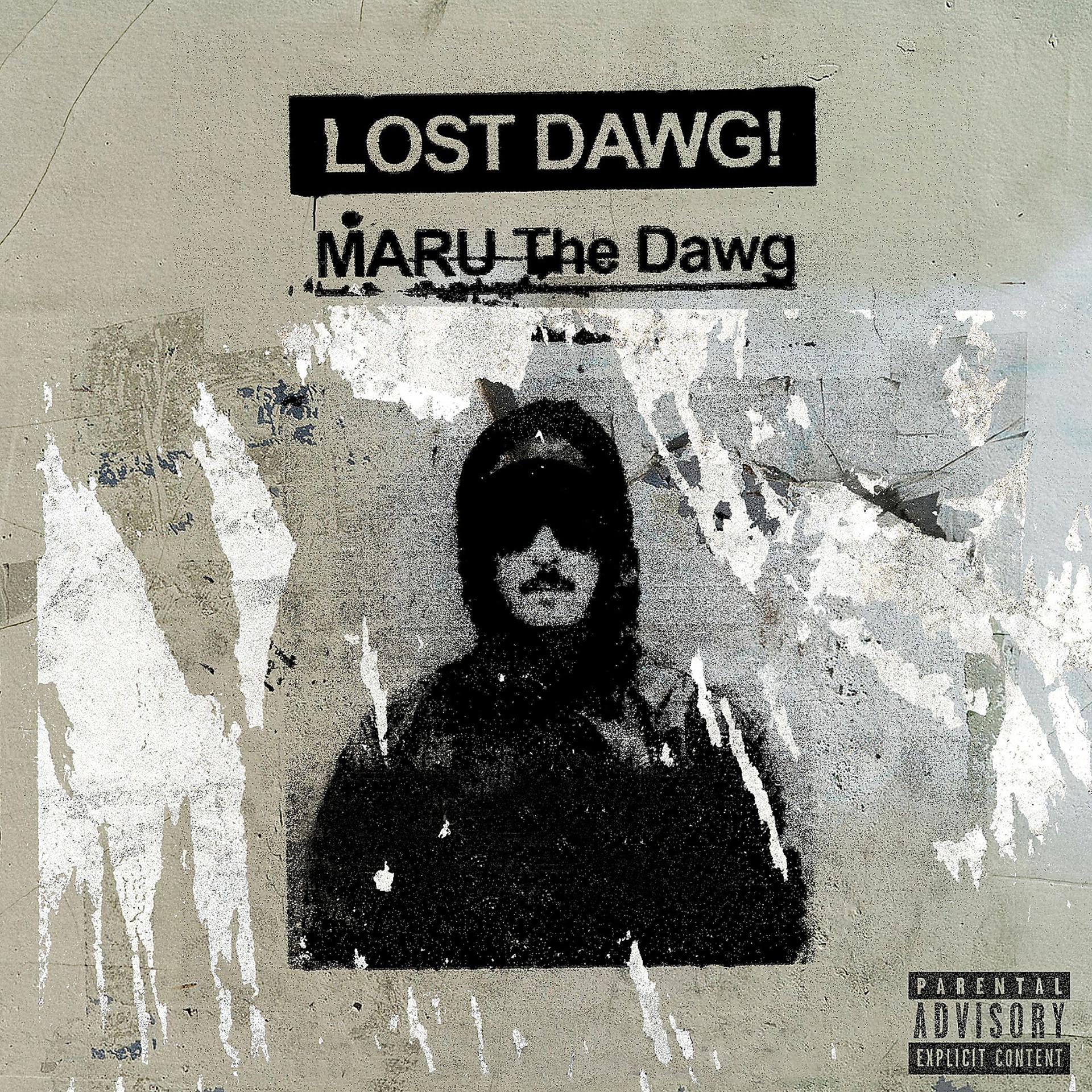 Постер альбома Lost Dawg