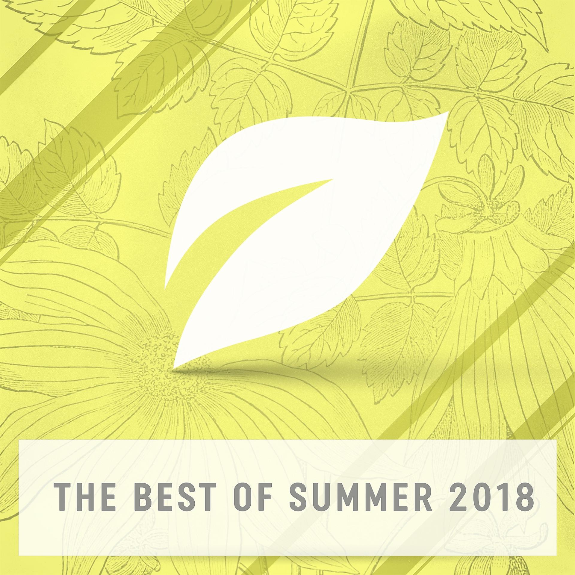 Постер альбома The Best of Summer 2018