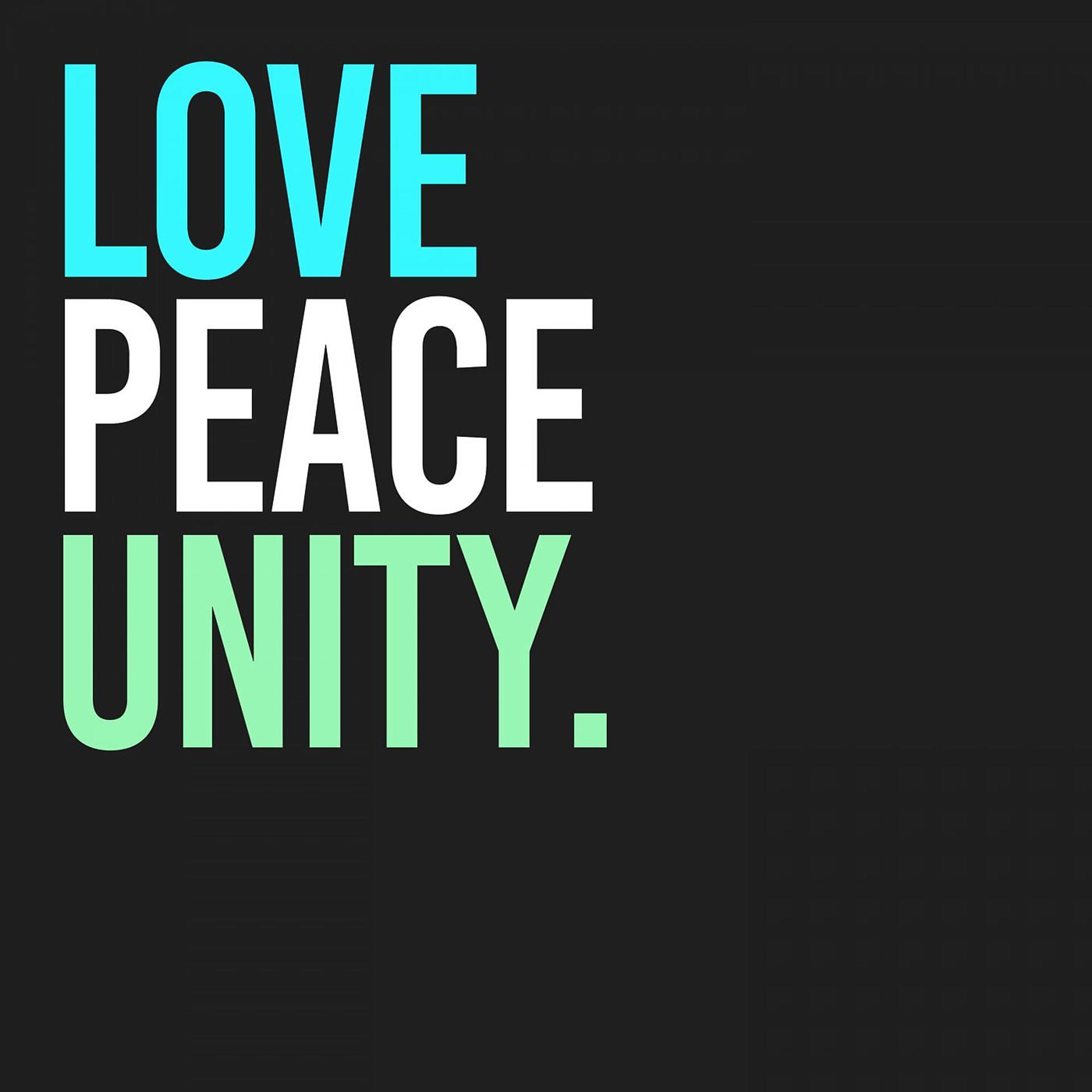 Постер альбома Love Peace Unity