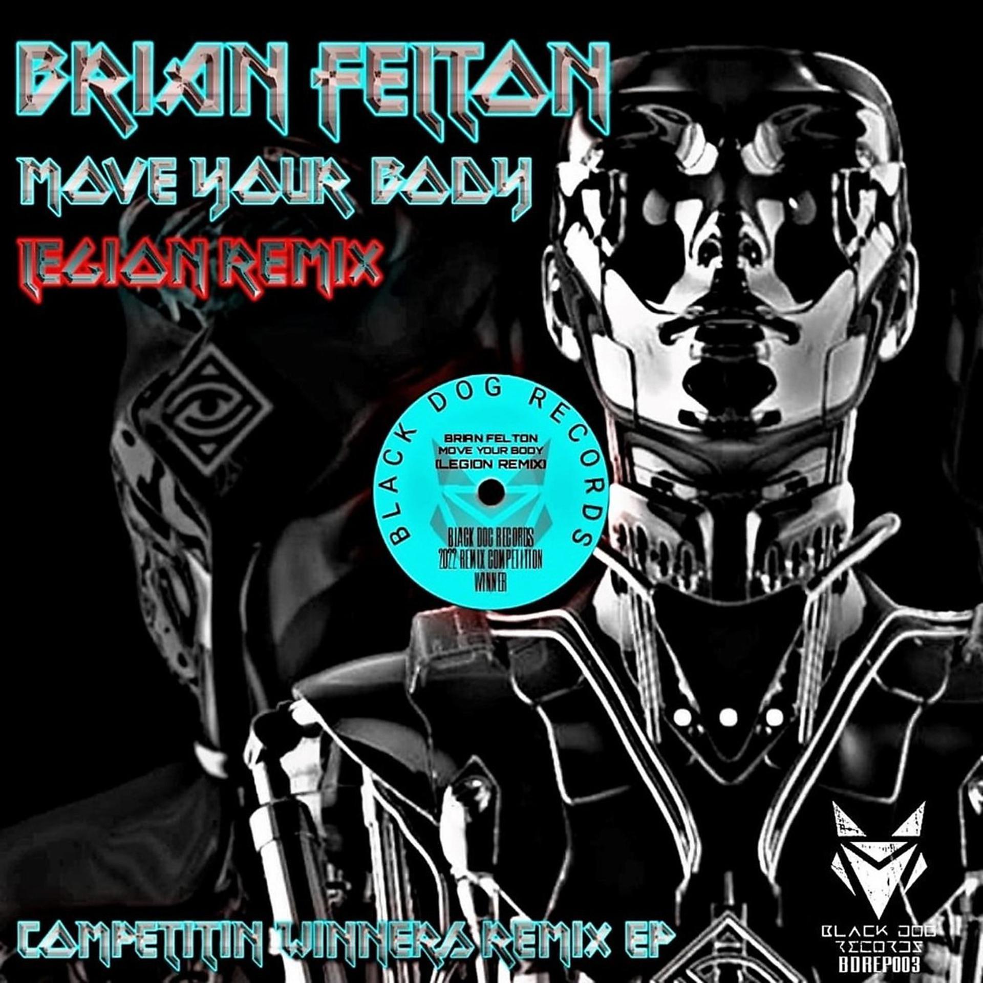 Постер альбома Move Your Body (Legion Remix)