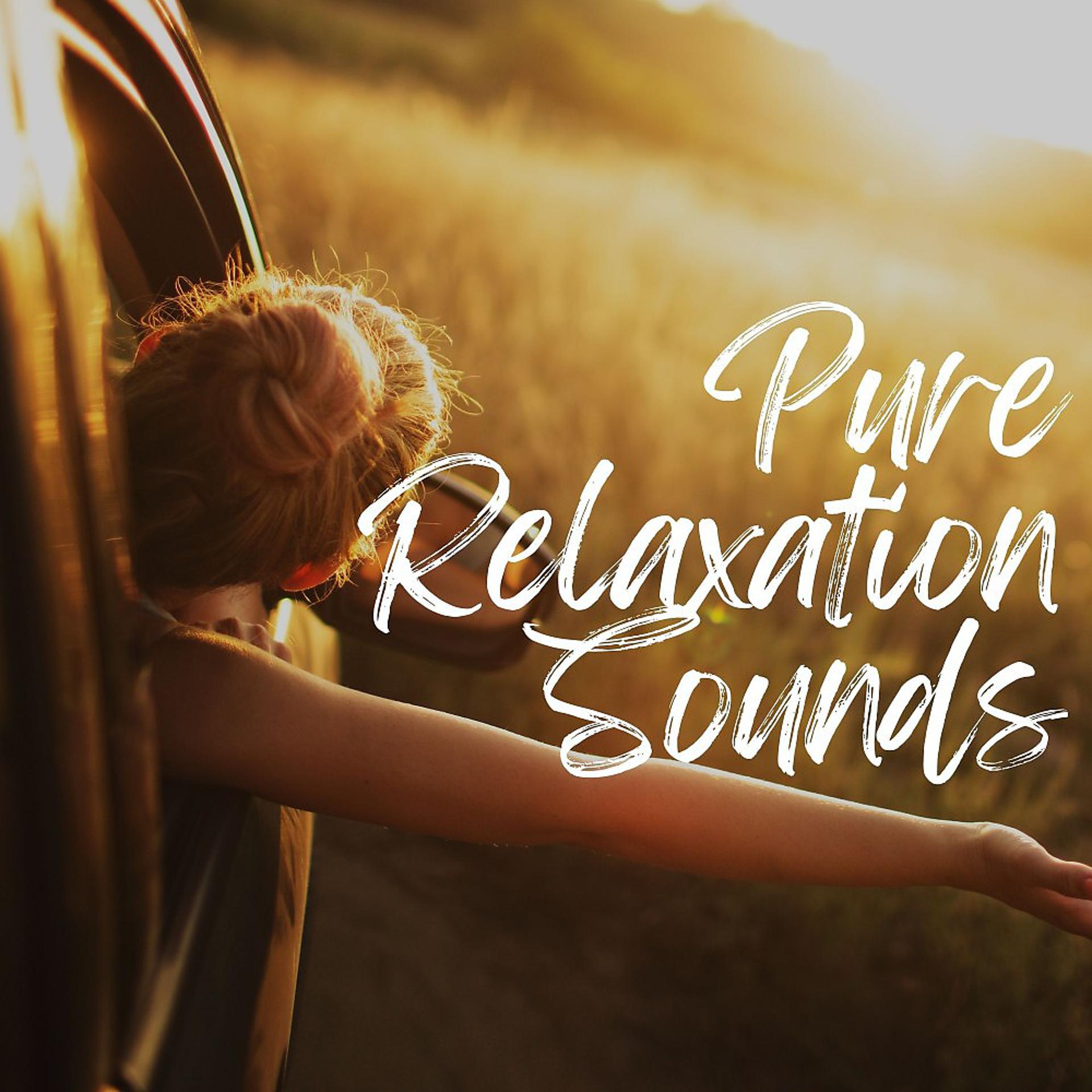 Постер альбома Pure Relaxation Sounds
