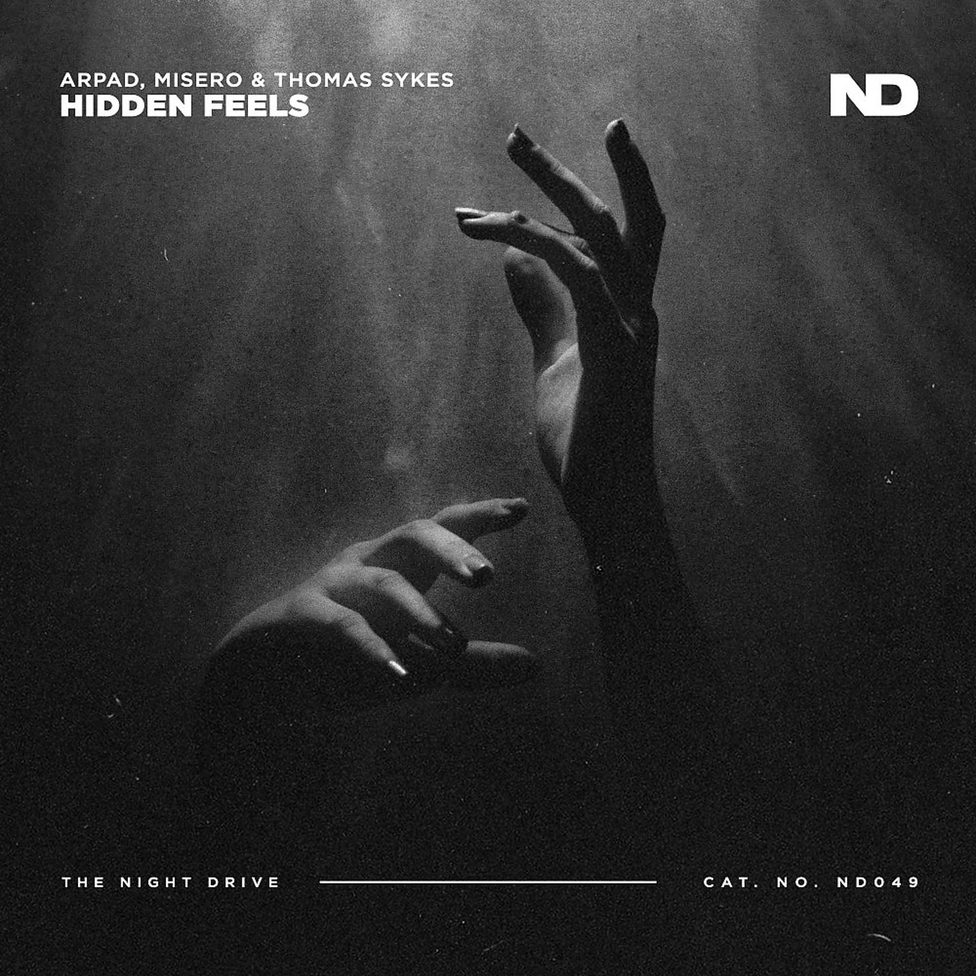 Постер альбома Hidden Feels