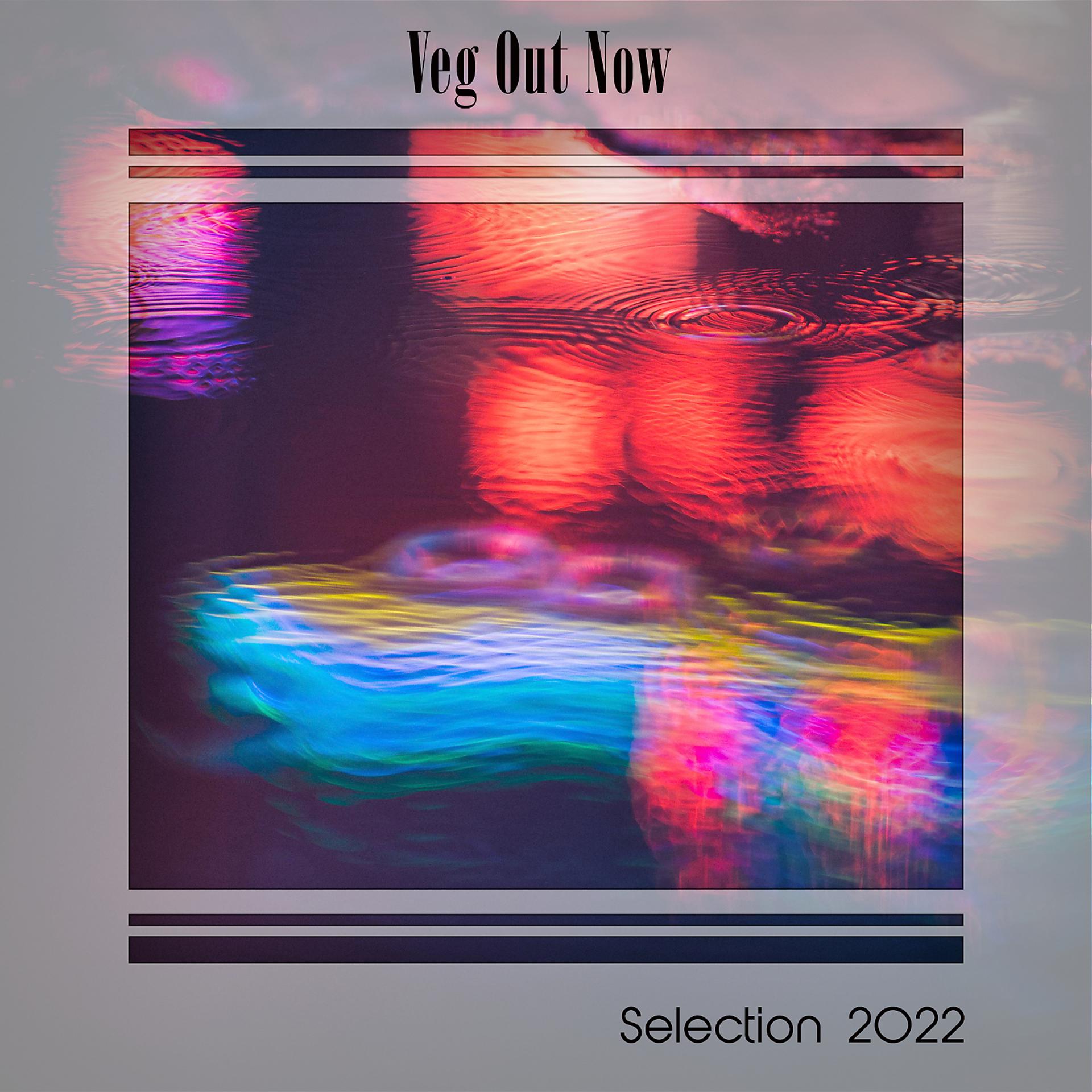 Постер альбома VEG OUT NOW SELECTION 2022