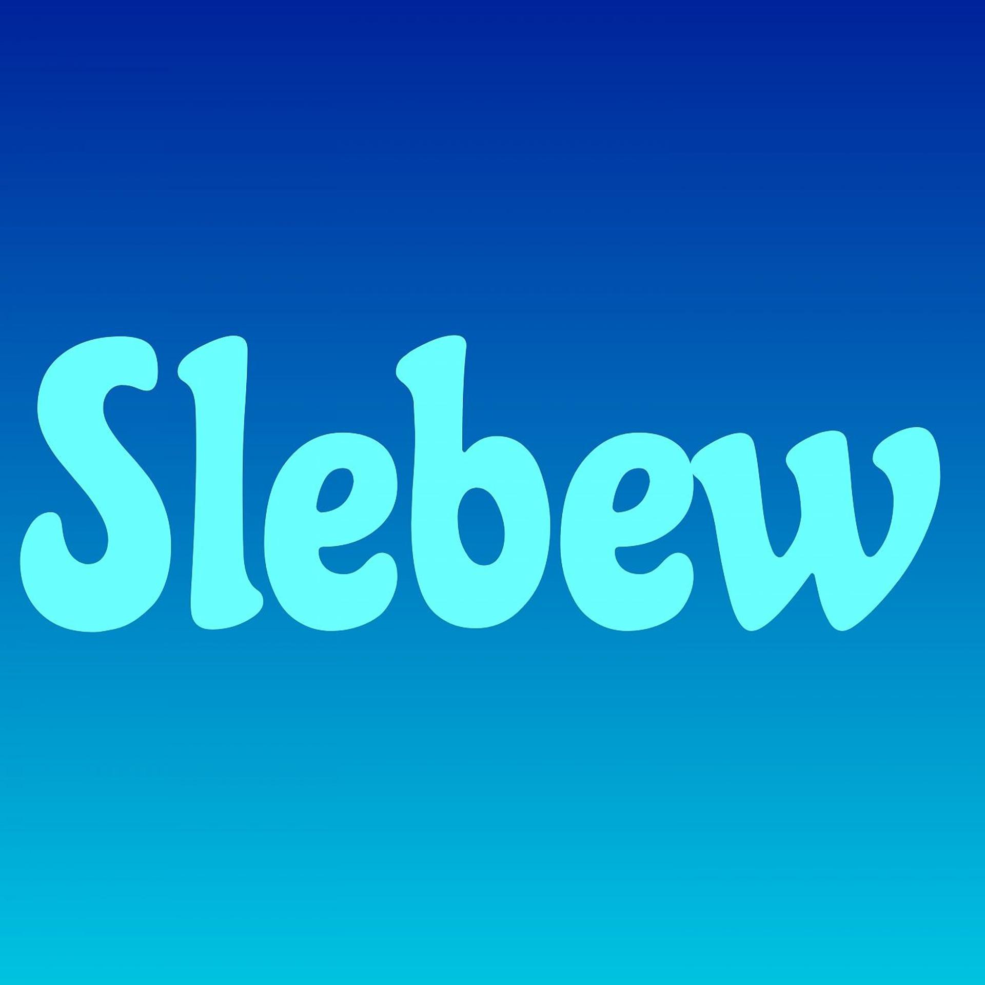 Постер альбома Slebew