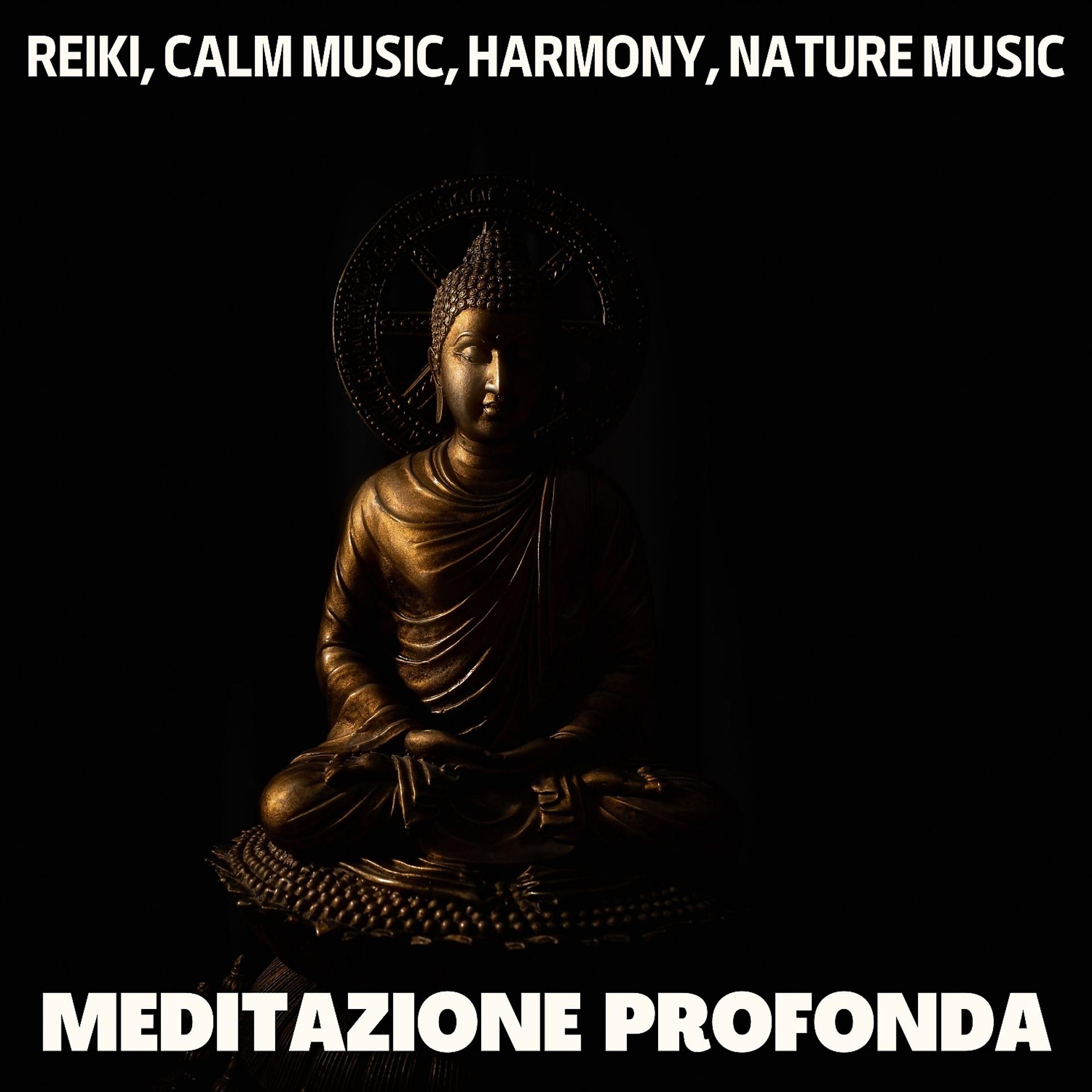 Постер альбома Meditazione profonda