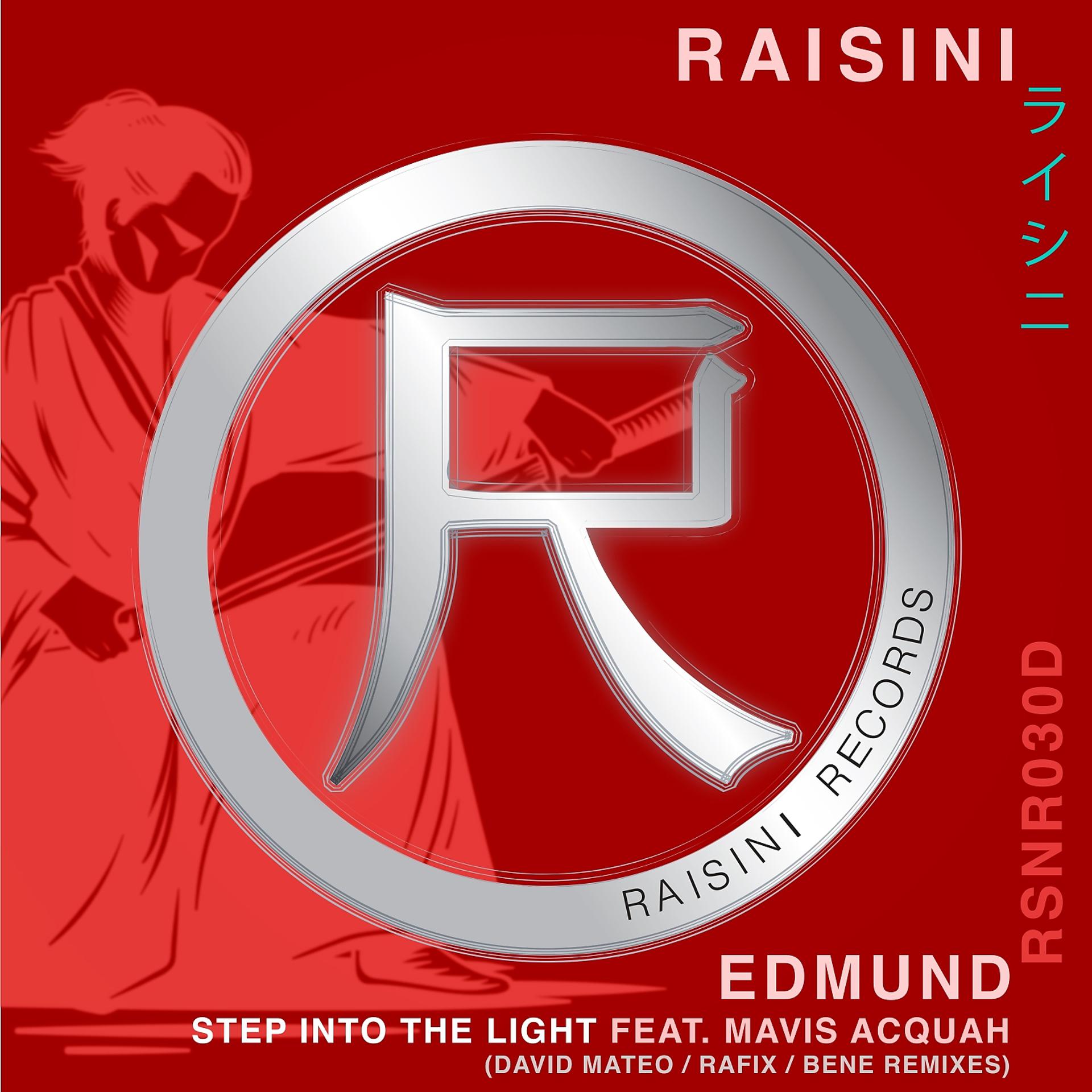 Постер альбома Step into the Light (David Mateo, Rafix, Bene Remixes)