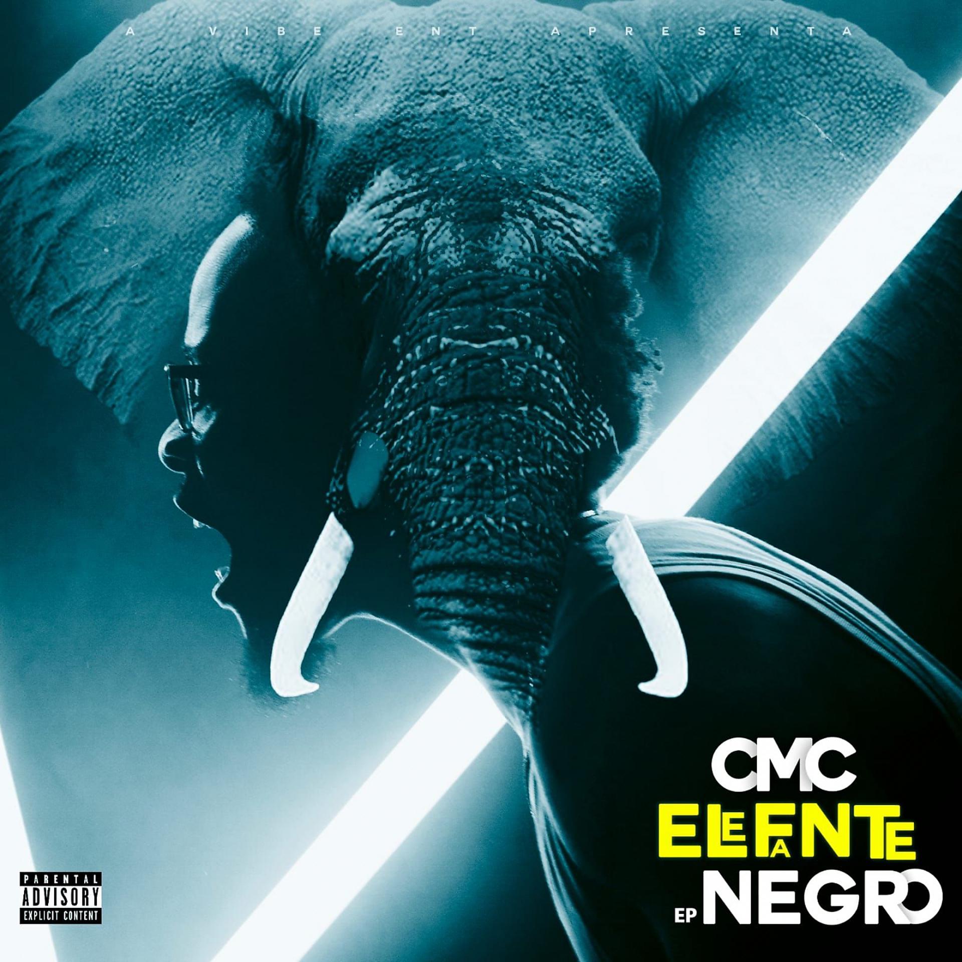 Постер альбома Elefante Negro
