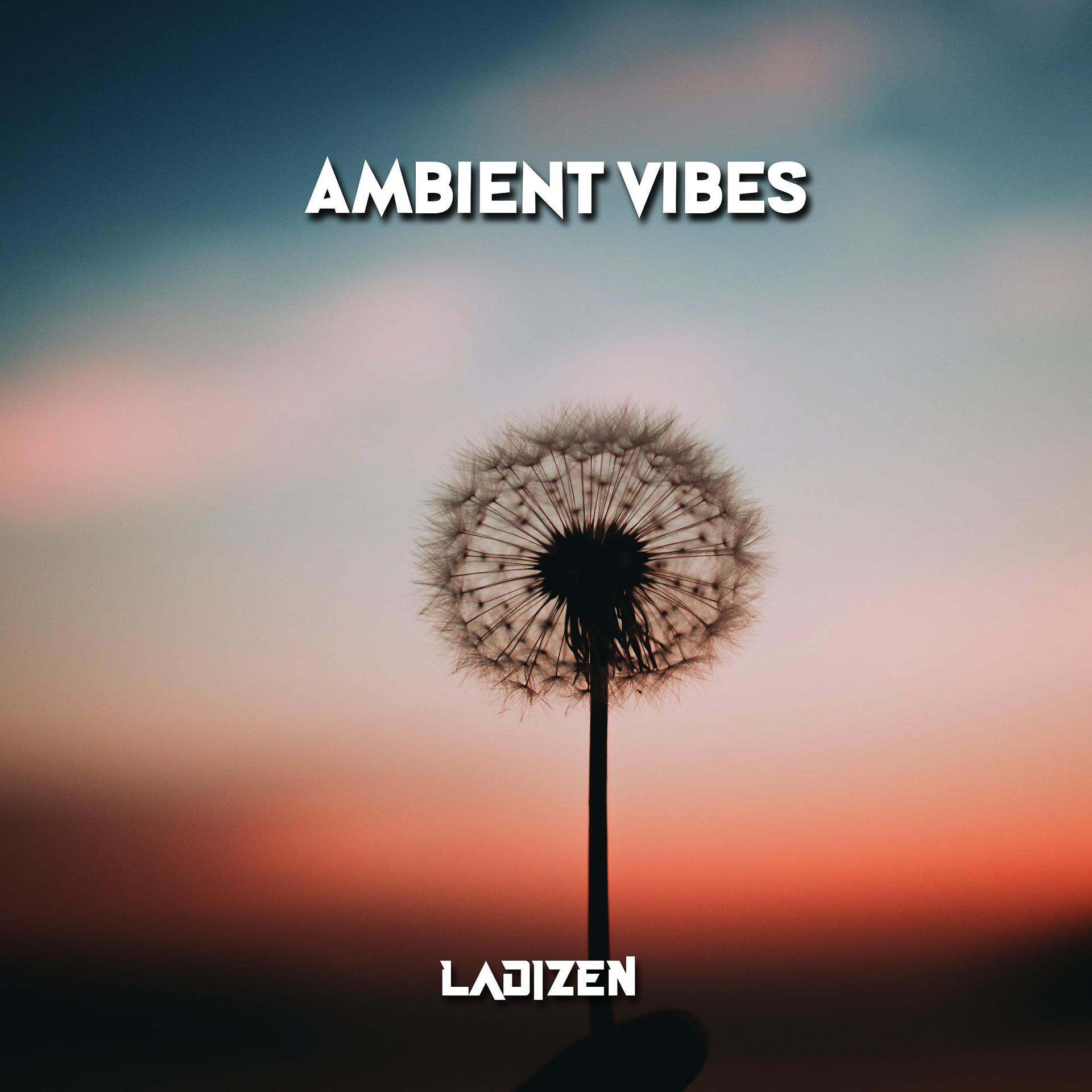Постер альбома Ambient Vibes