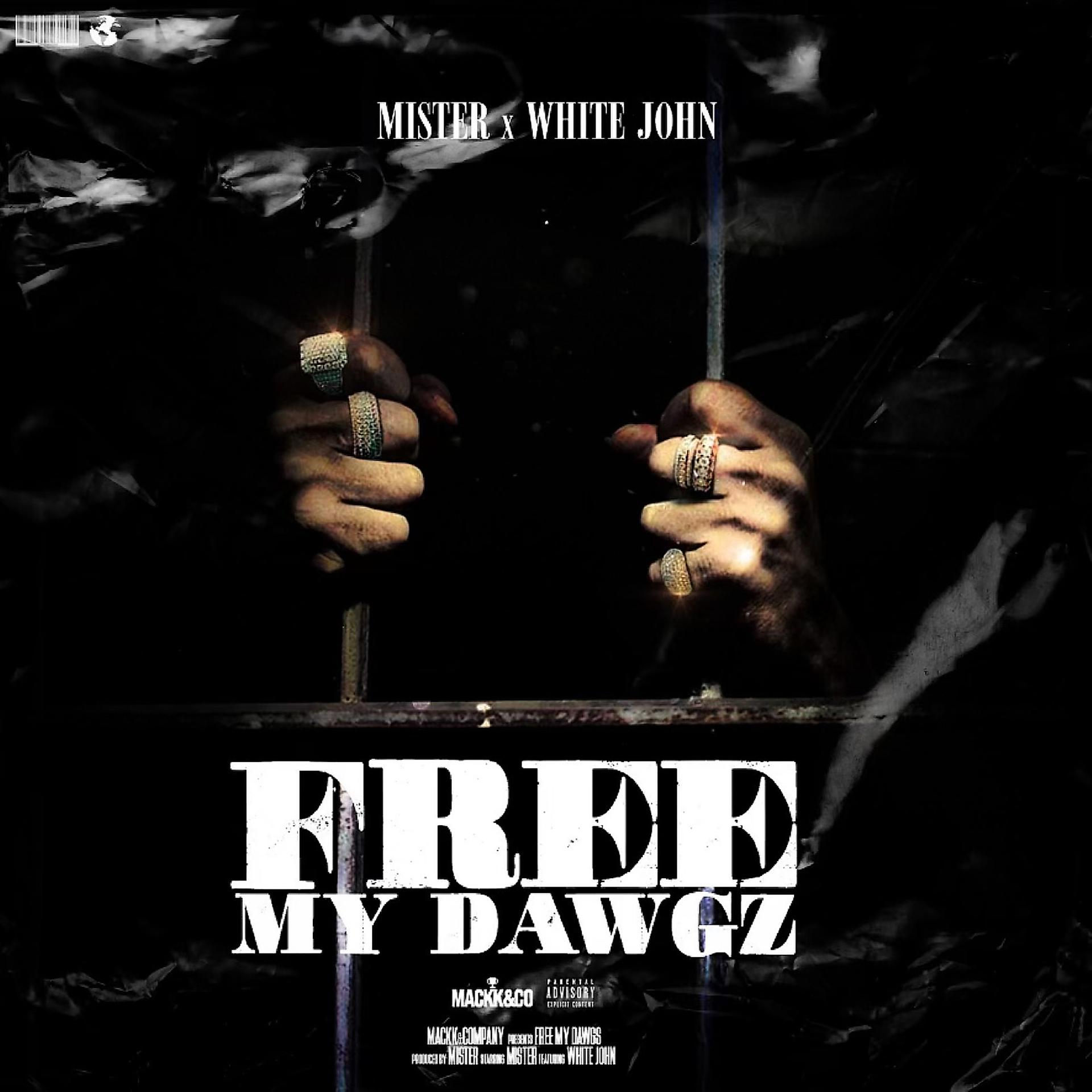 Постер к треку Mister, White John - Free My Dawgz
