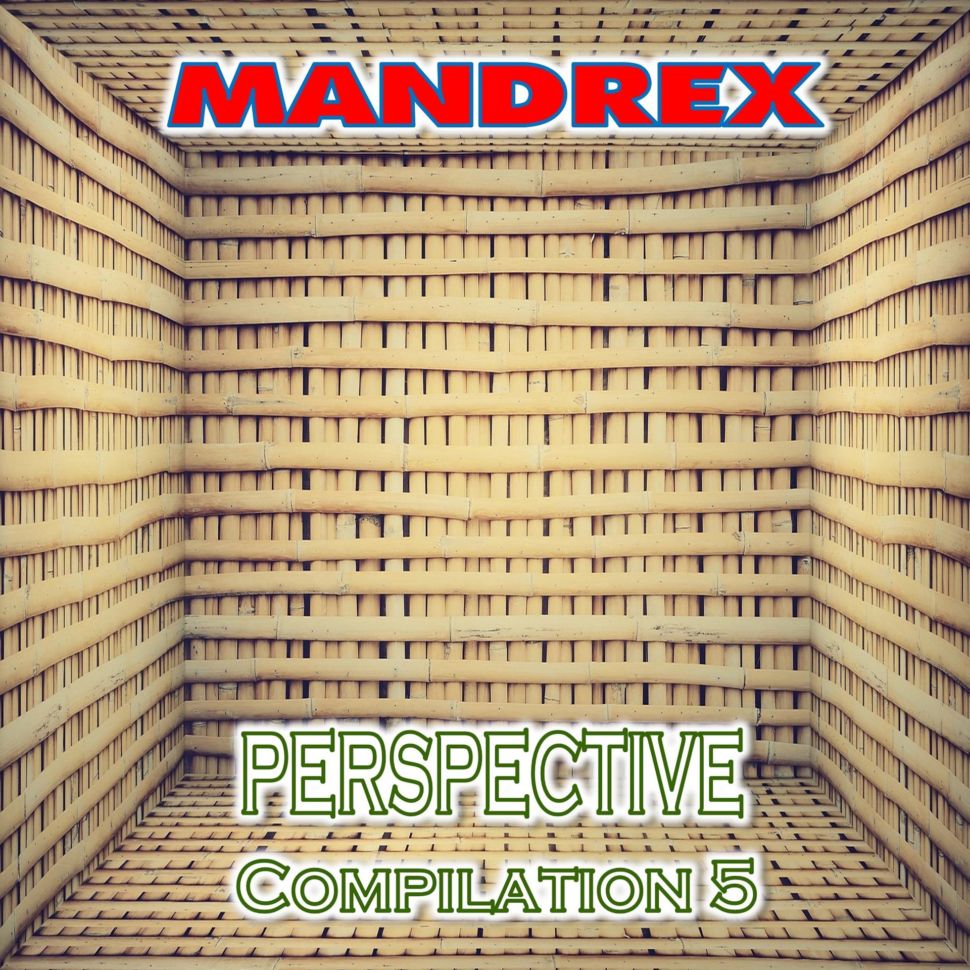 Постер альбома Perspective Compilation 5