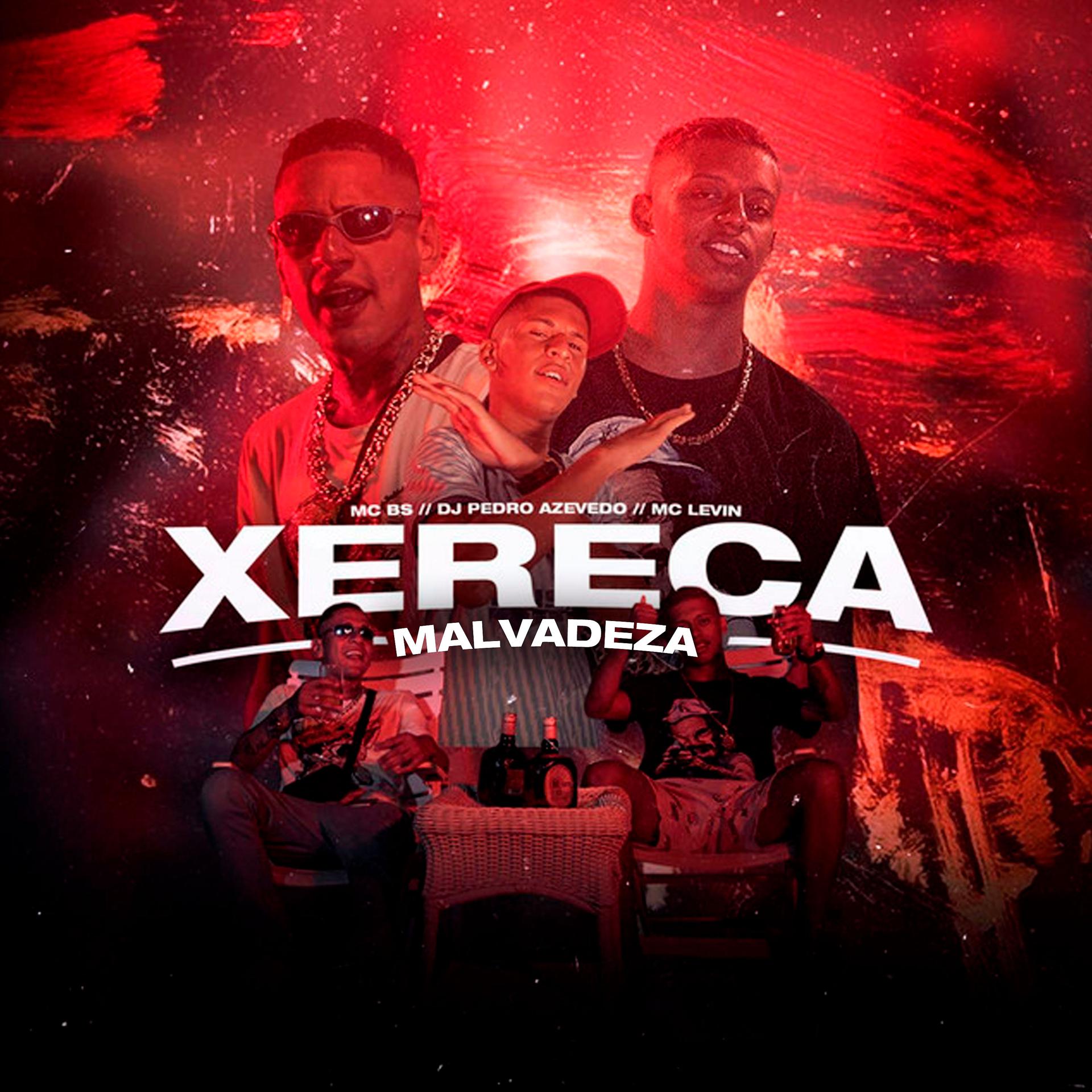 Постер альбома Xereca Malvadeza