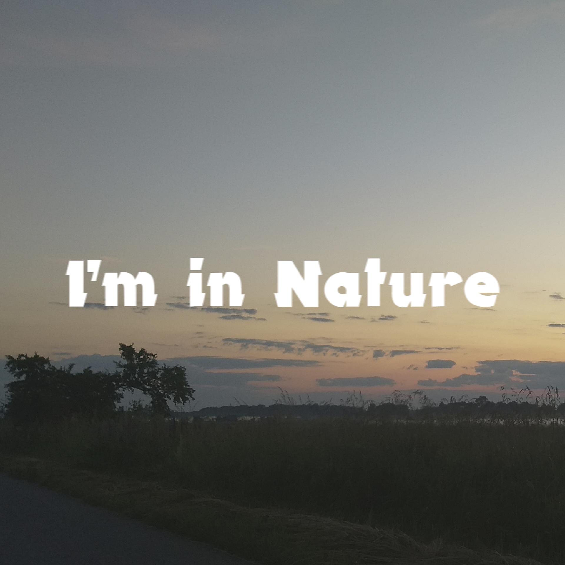 Постер альбома I'm in Nature