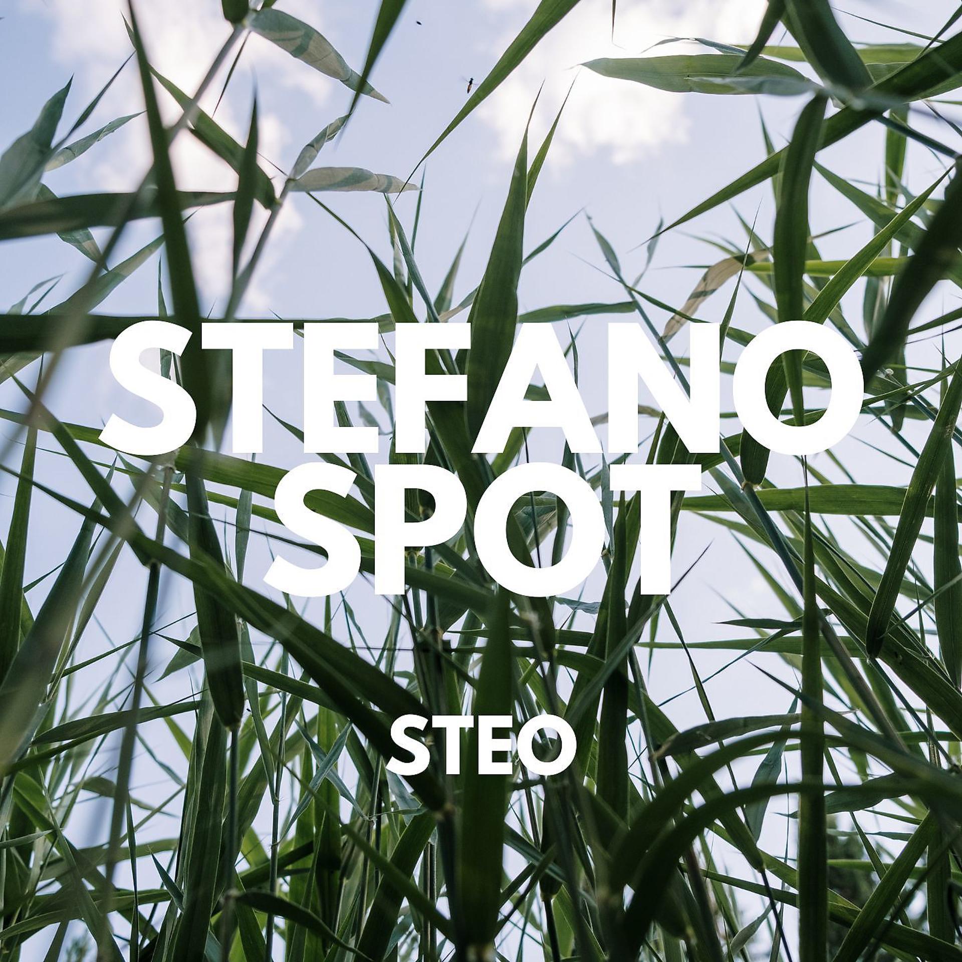 Постер альбома Steo