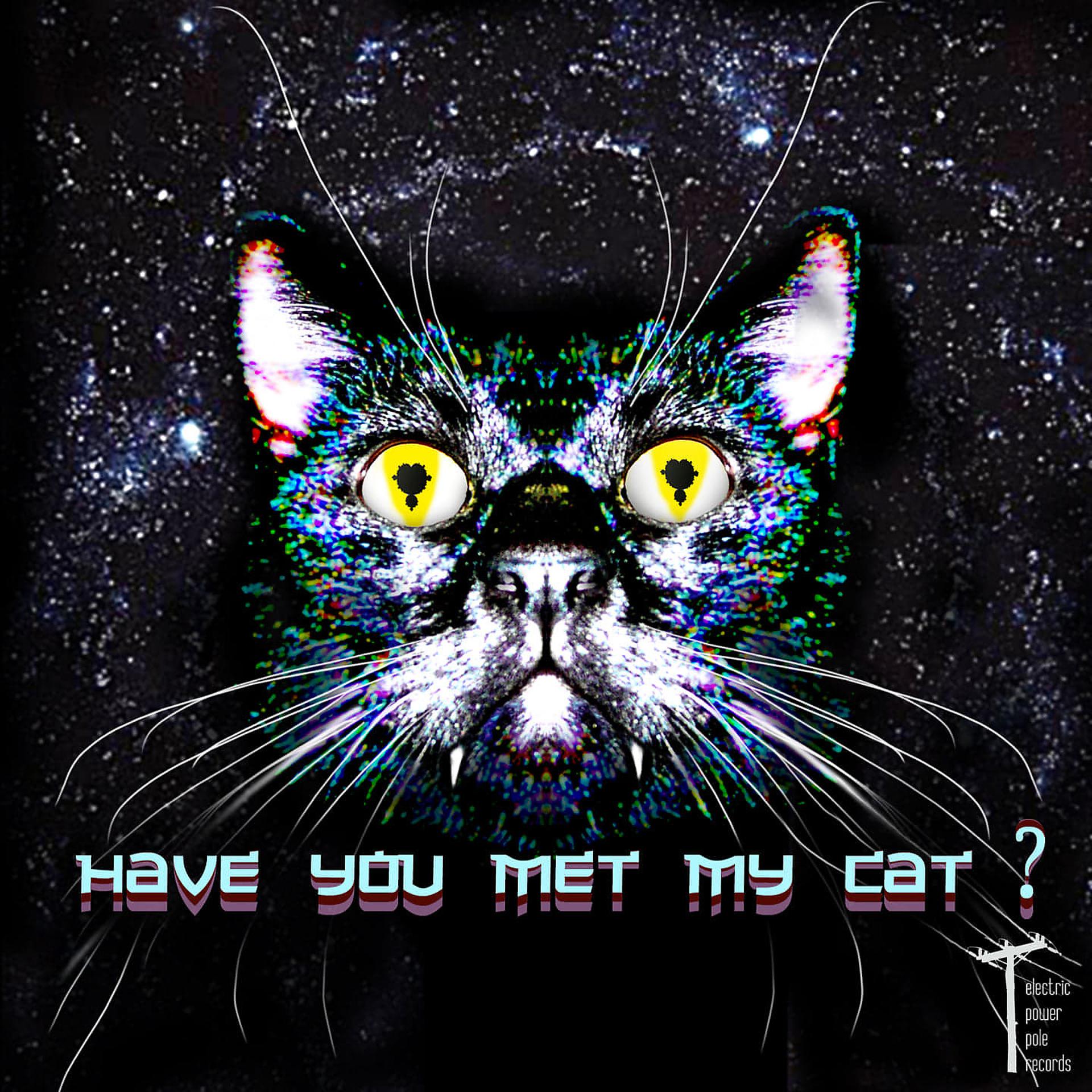 Постер альбома Have you met my cat?