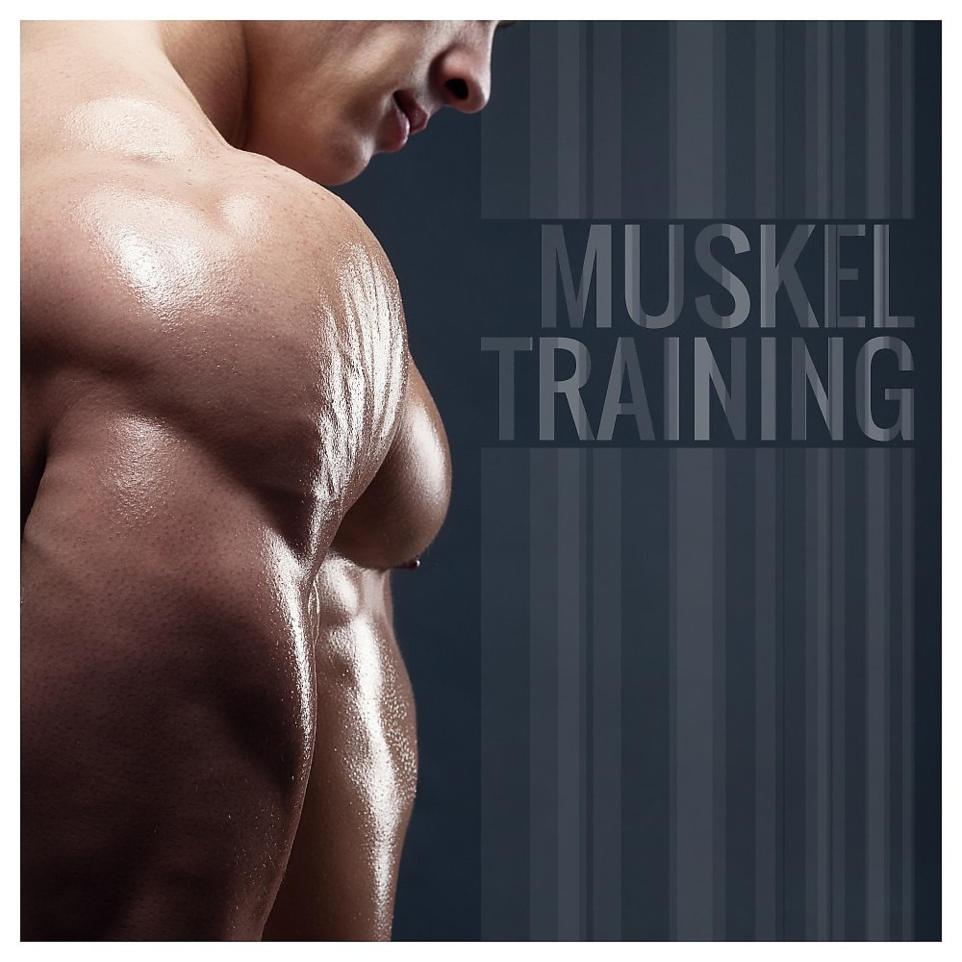 Постер альбома Muskeltraining