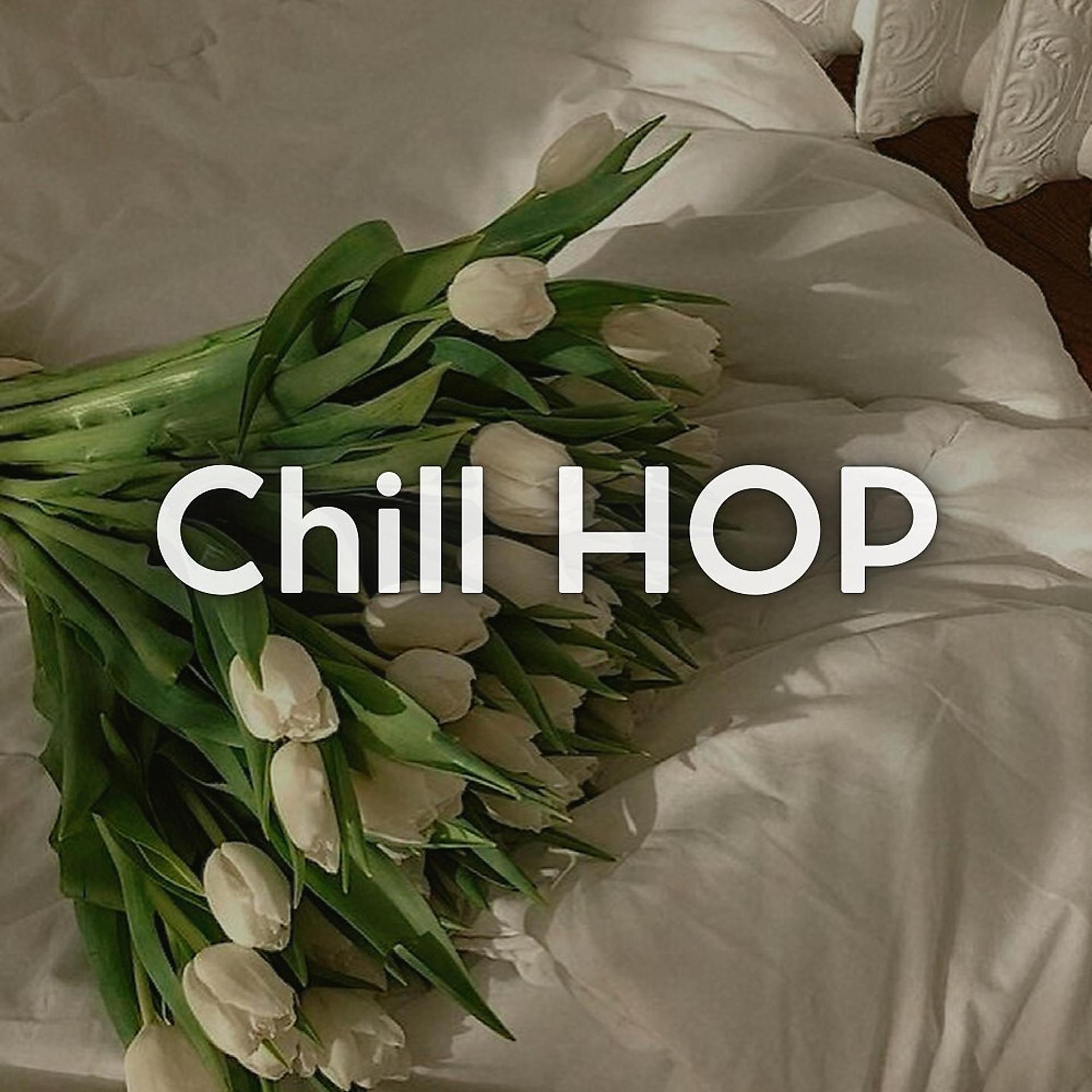 Постер альбома Chill Hop