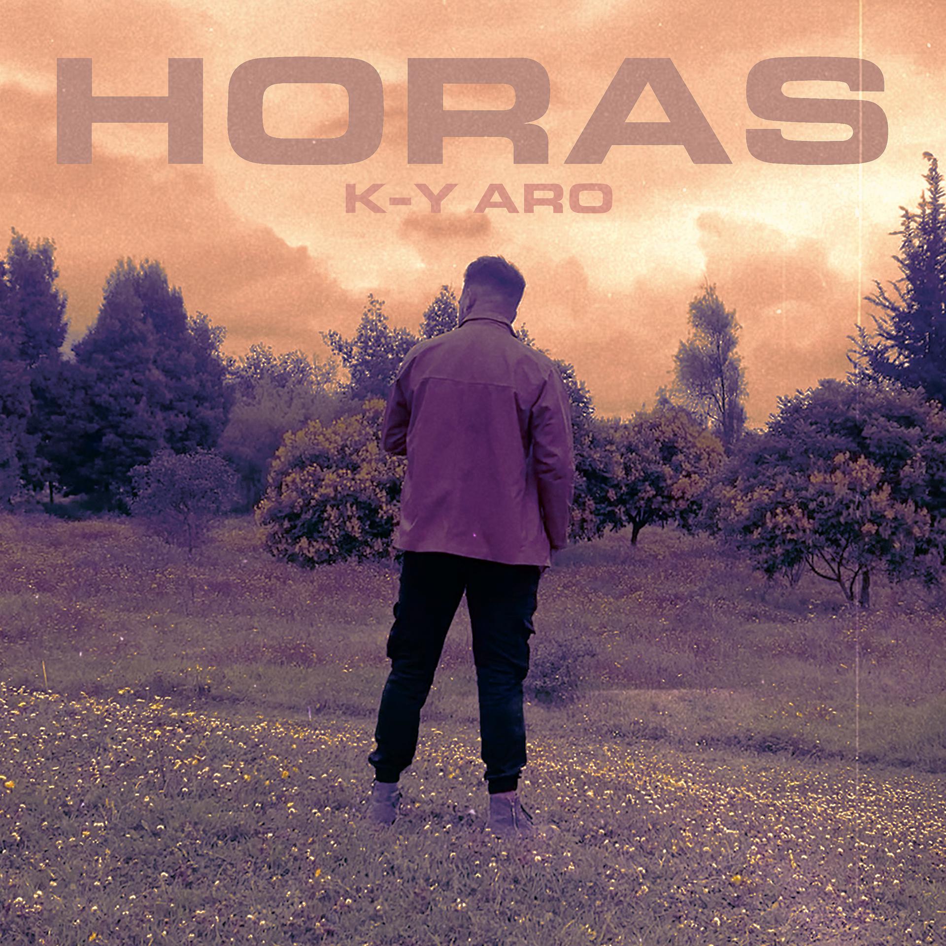 Постер альбома Horas