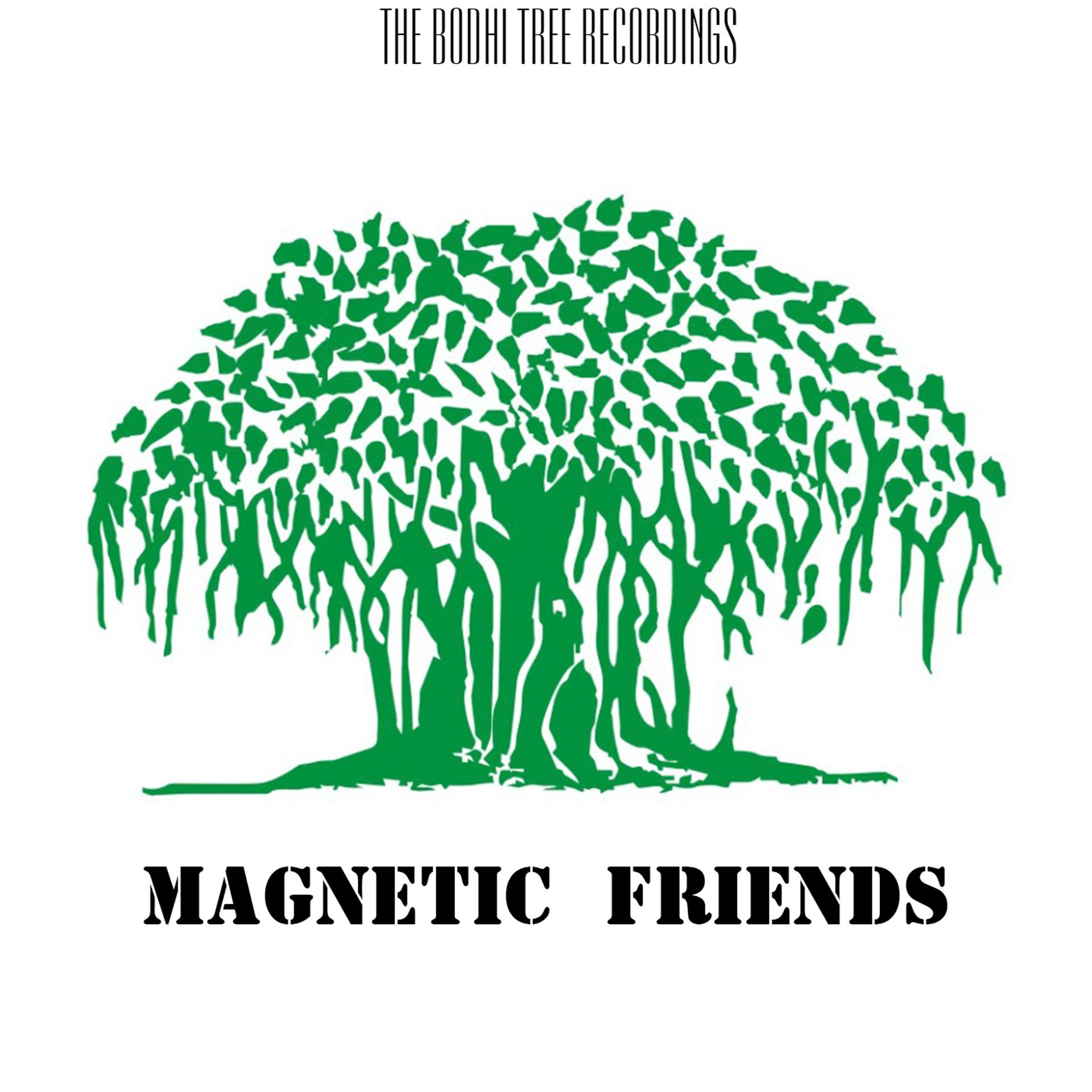 Постер альбома Magnetic Friends