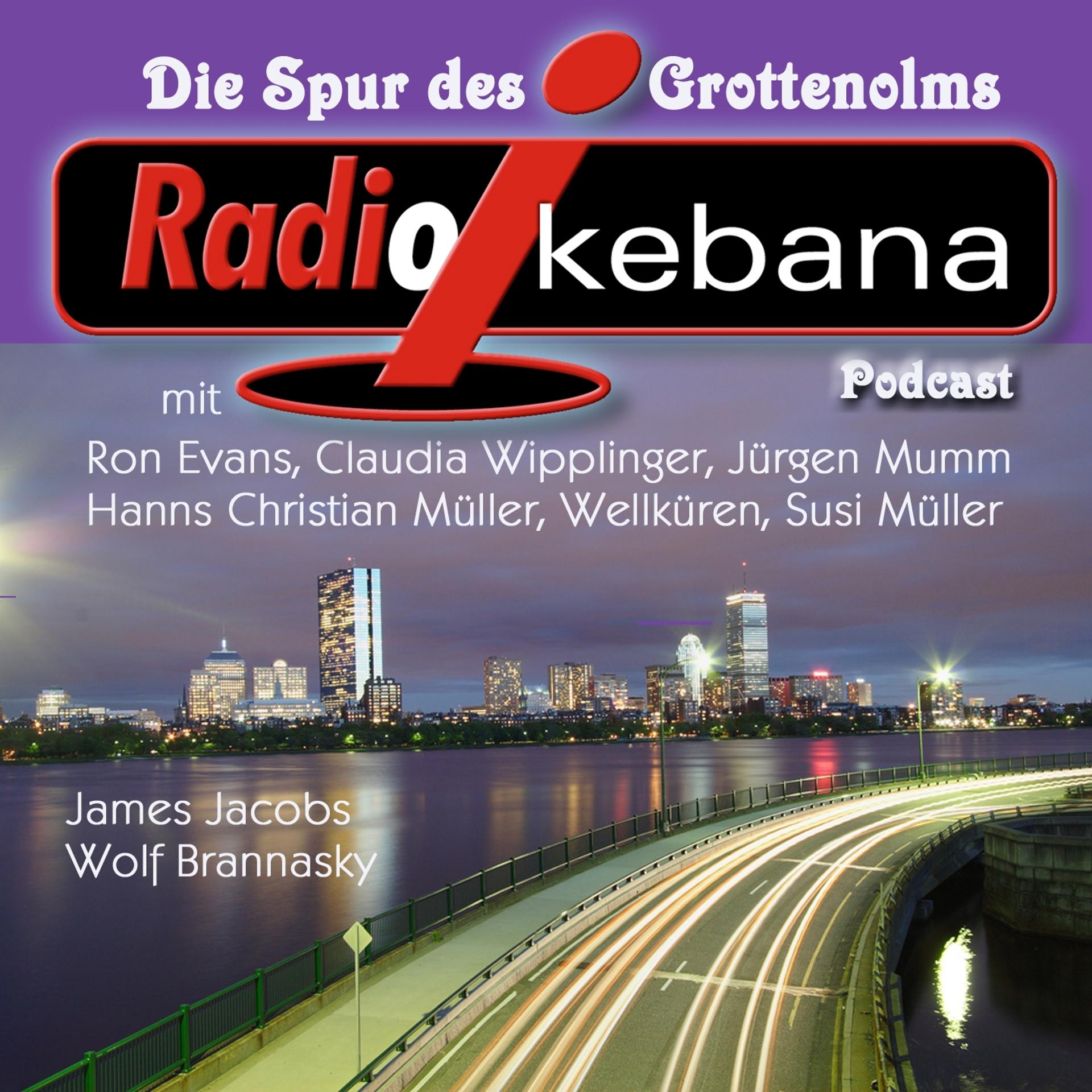 Постер альбома Radio Ikebana - Die Spur des Grottenolms