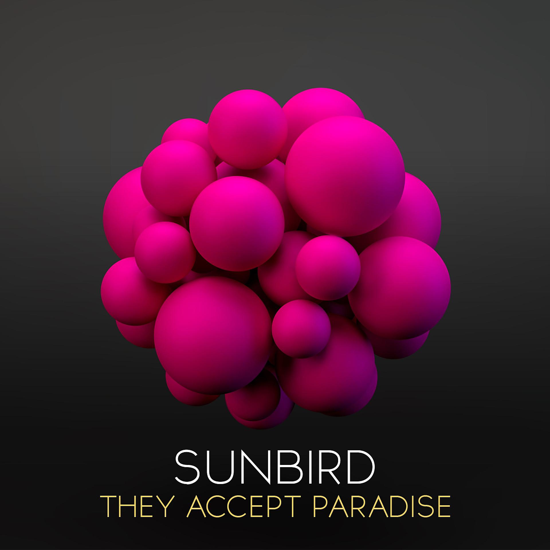 Постер альбома They Accept Paradise