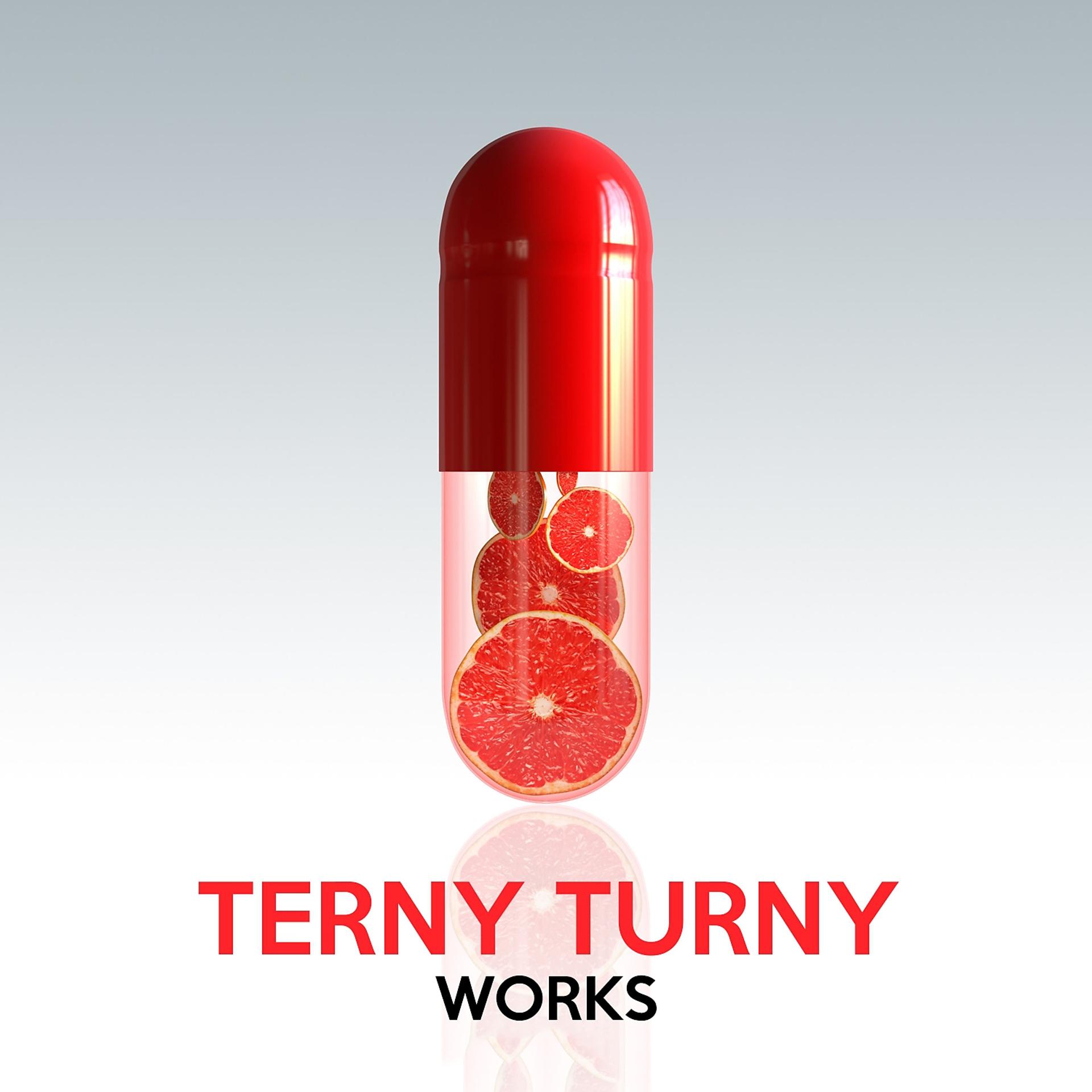 Постер альбома Terny Turny Works