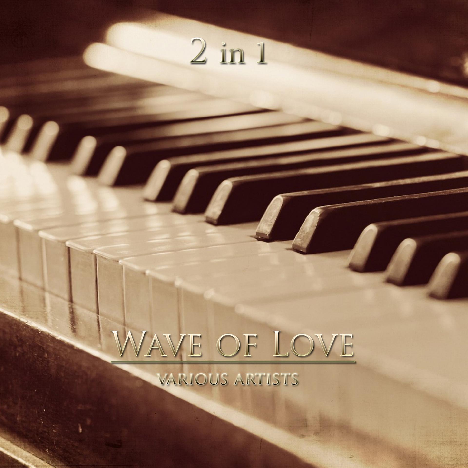 Постер альбома Wave of Love 2 in 1